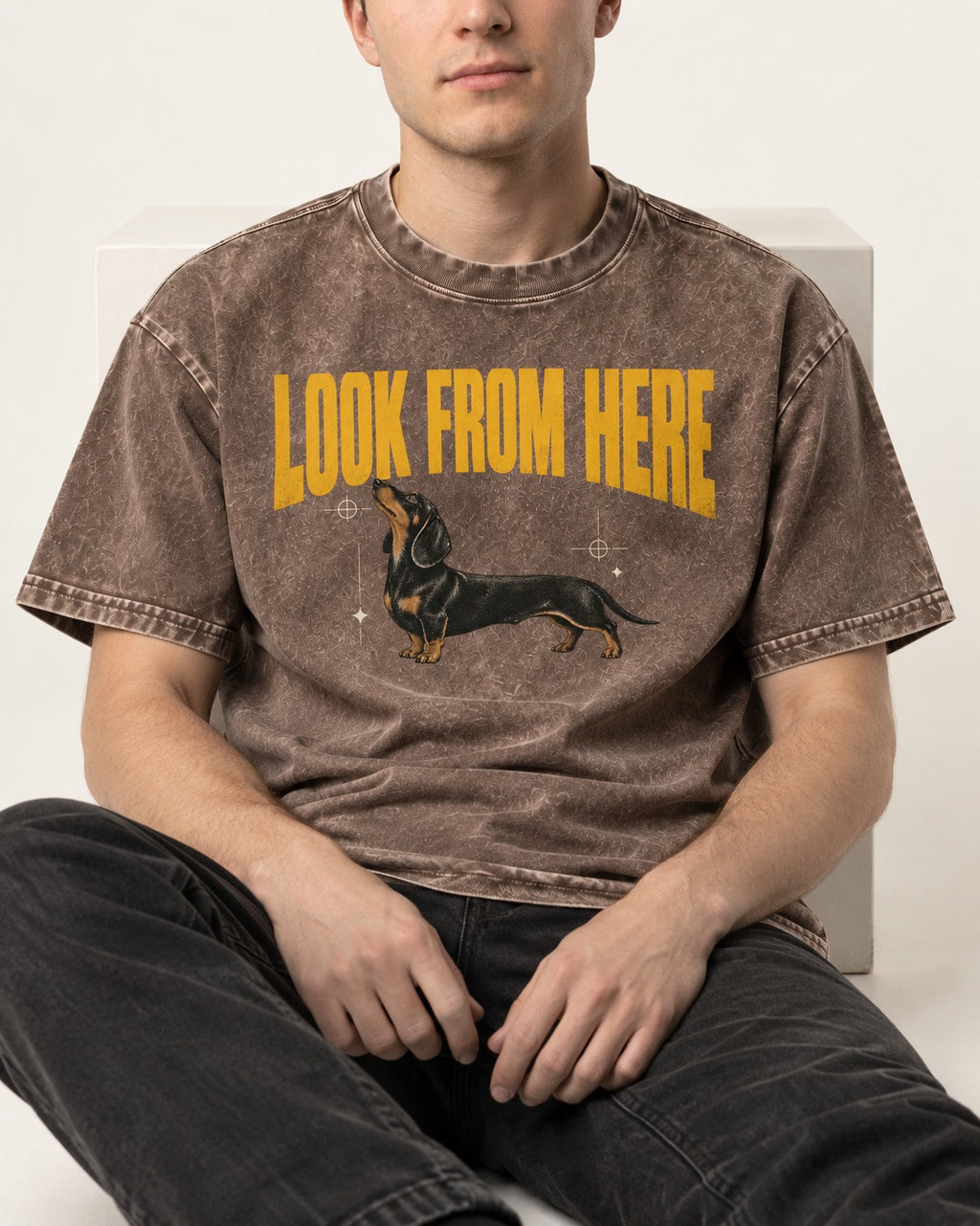 Dachshund Look From Here Washed Tee in Coffee, worn by a seated model