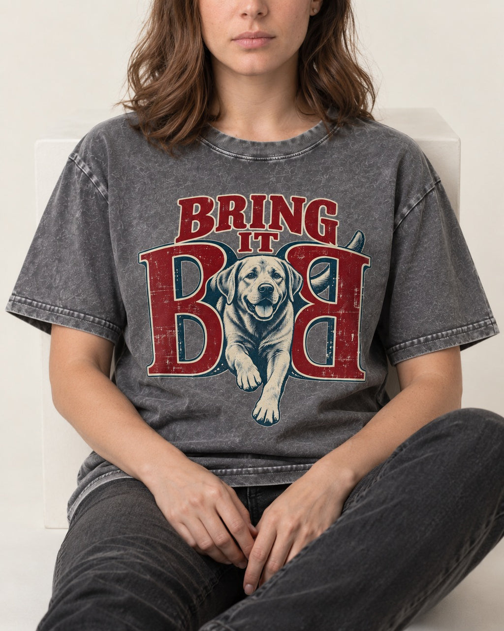 Labrador Retriever Bring It Opposing B Portrait Graphic Washed Tee in Gray, worn by a seated model