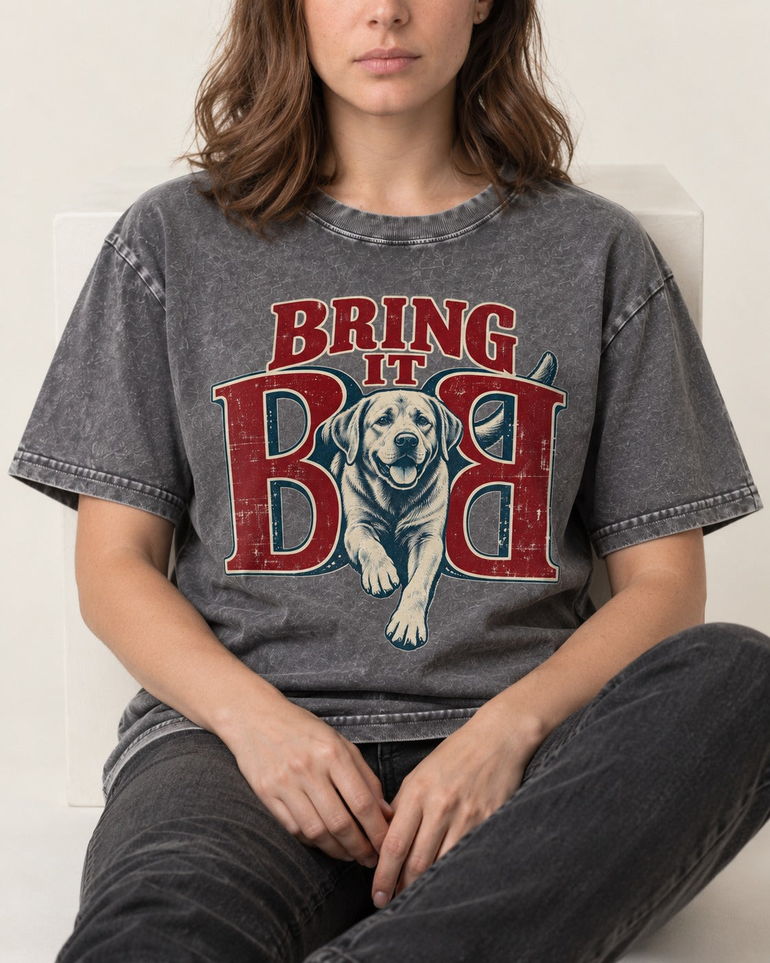 Labrador Retriever Bring It Opposing B Portrait Graphic Washed Tee in Gray, worn by a seated model