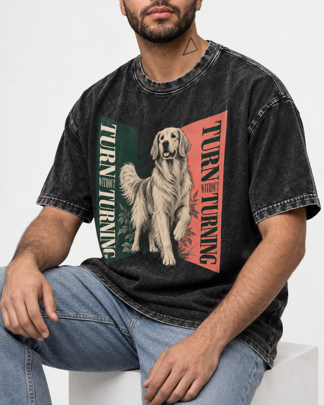 Golden Retriever Turn Without Turning Gateway Graphic Washed Tee in Black, worn by a seated model