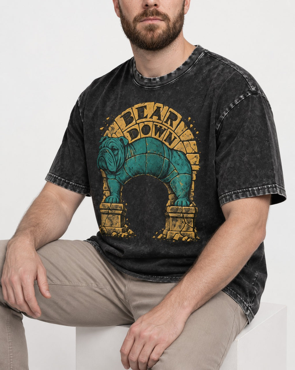 English Bulldog Bear Down Stone Arch Graphic Washed Tee in Black, worn by a seated model