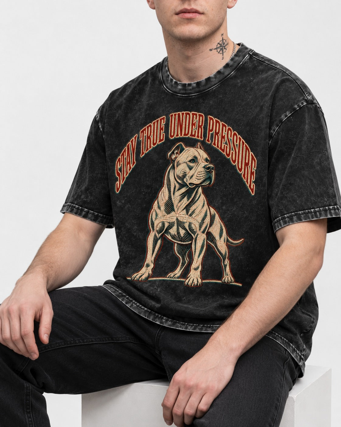 Pitbull Stay True Under Pressure Stance Graphic Washed Tee in Black, worn by a seated model