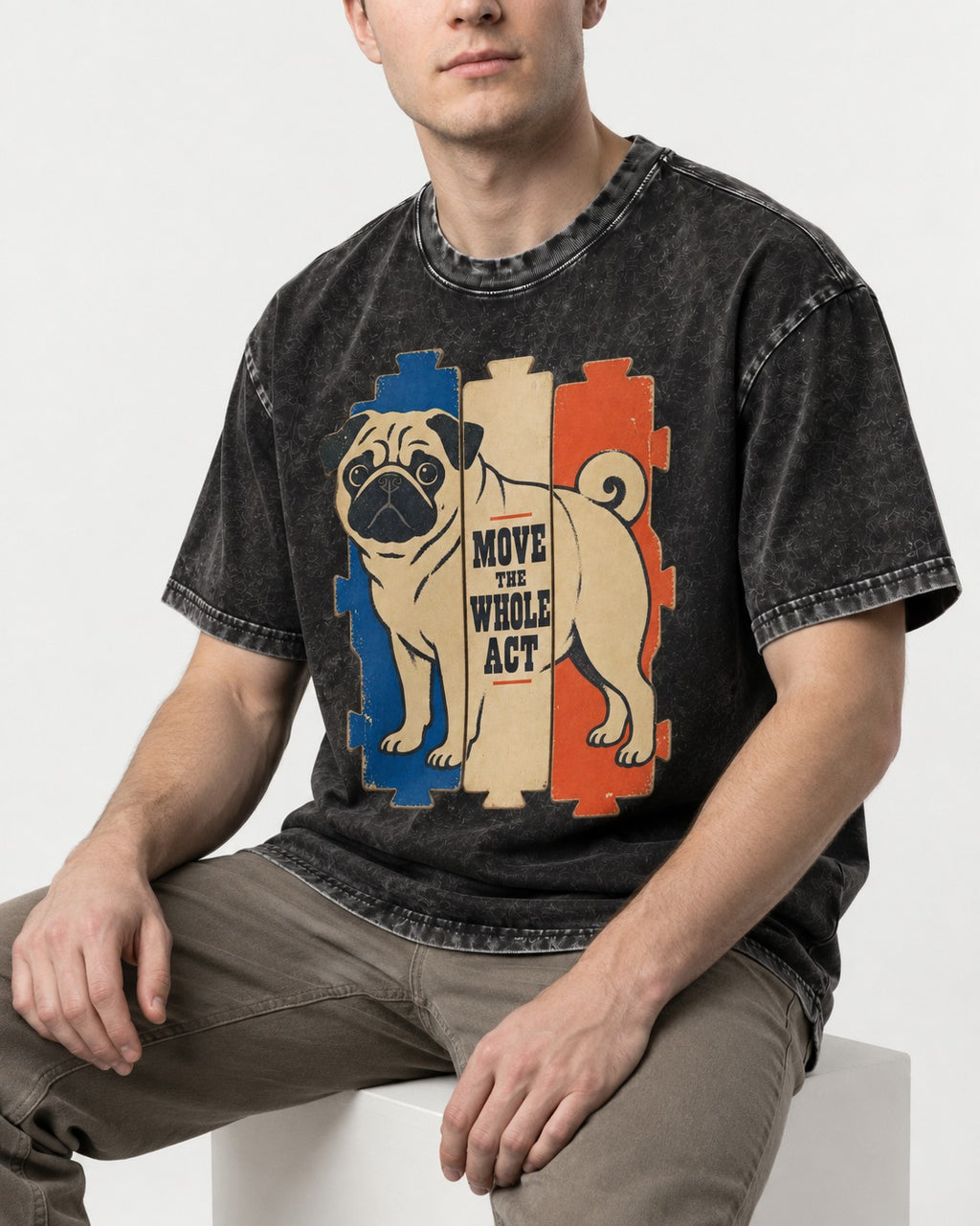 Pug Move the Whole Act Color Block Graphic Washed Tee in Black, worn by a seated model