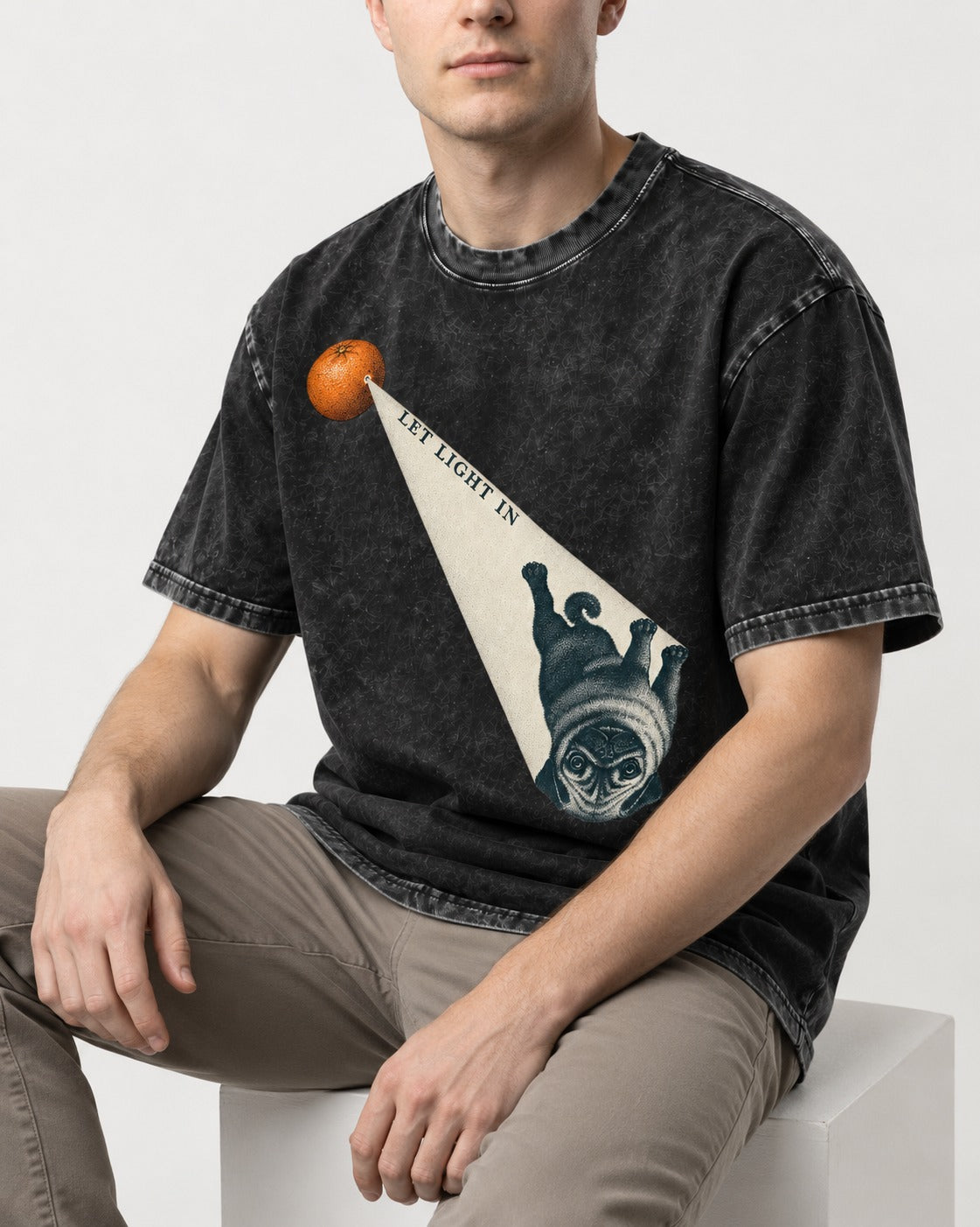 Pug Let Light In Camera Obscura Graphic Washed Tee in Black, worn by a seated model