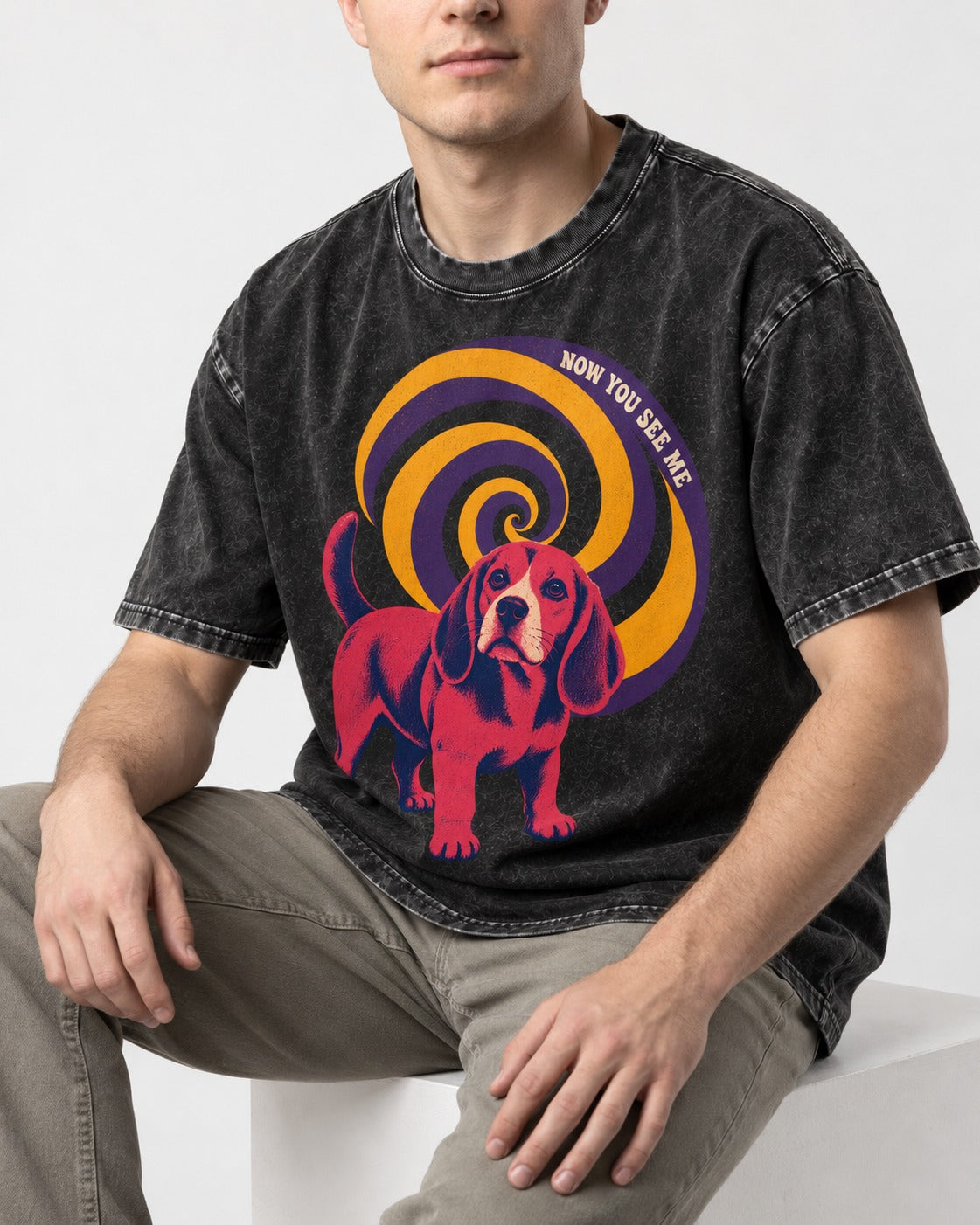 Now You See Me Beagle Spiral Washed Tee in Black, worn by a seated model
