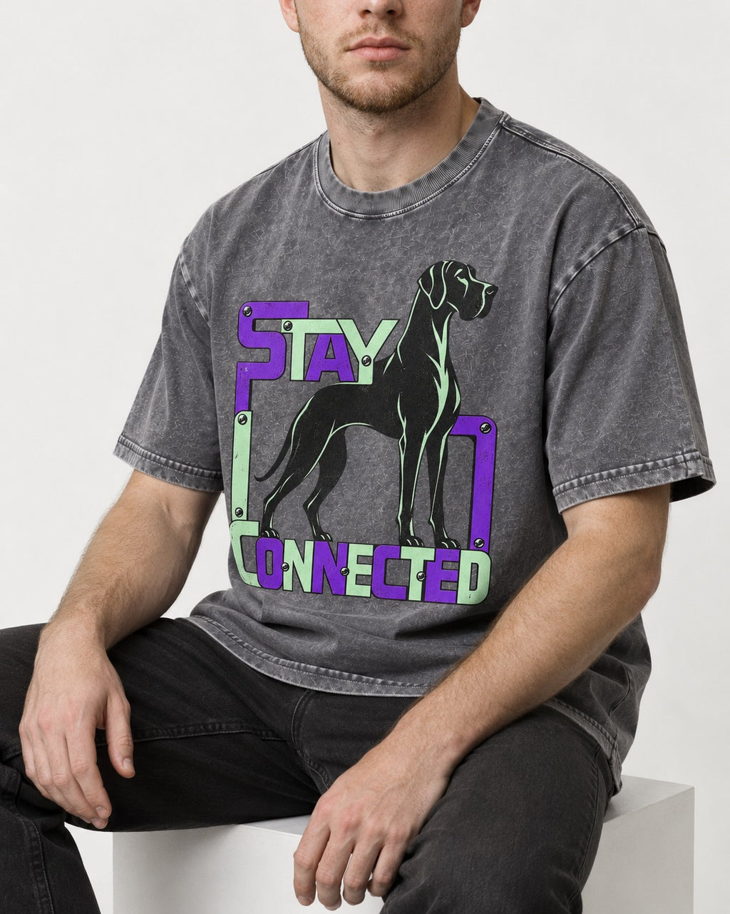 Great Dane Stay Connected Modular Frame Graphic Washed Tee in Gray, worn by a seated model