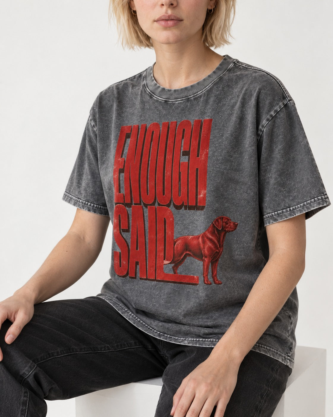 Labrador Retriever Enough Said Standing Typography Graphic Washed Tee in Gray, worn by a seated model