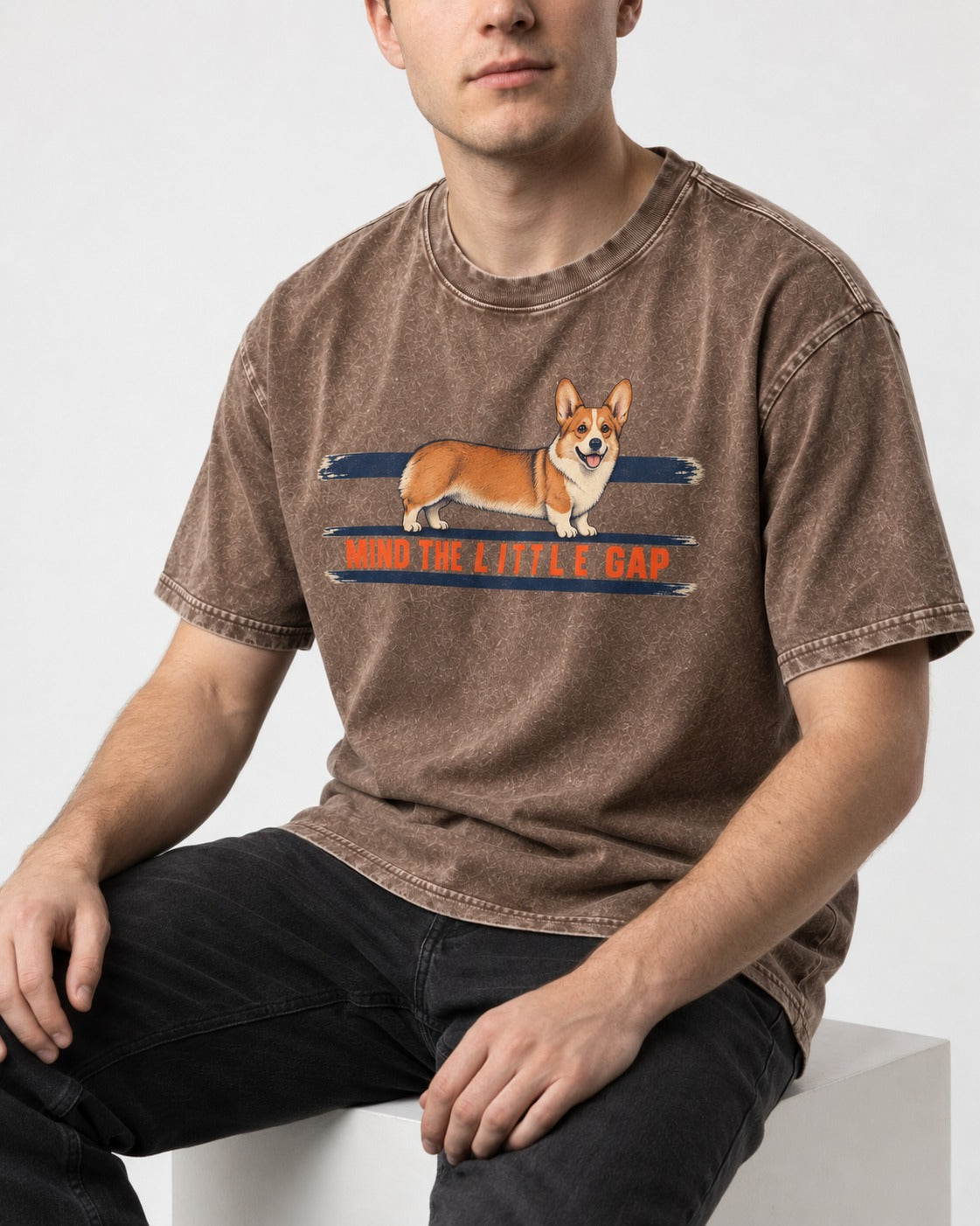Mind the Little Corgi Gap Washed Tee in Coffee, worn by a seated model