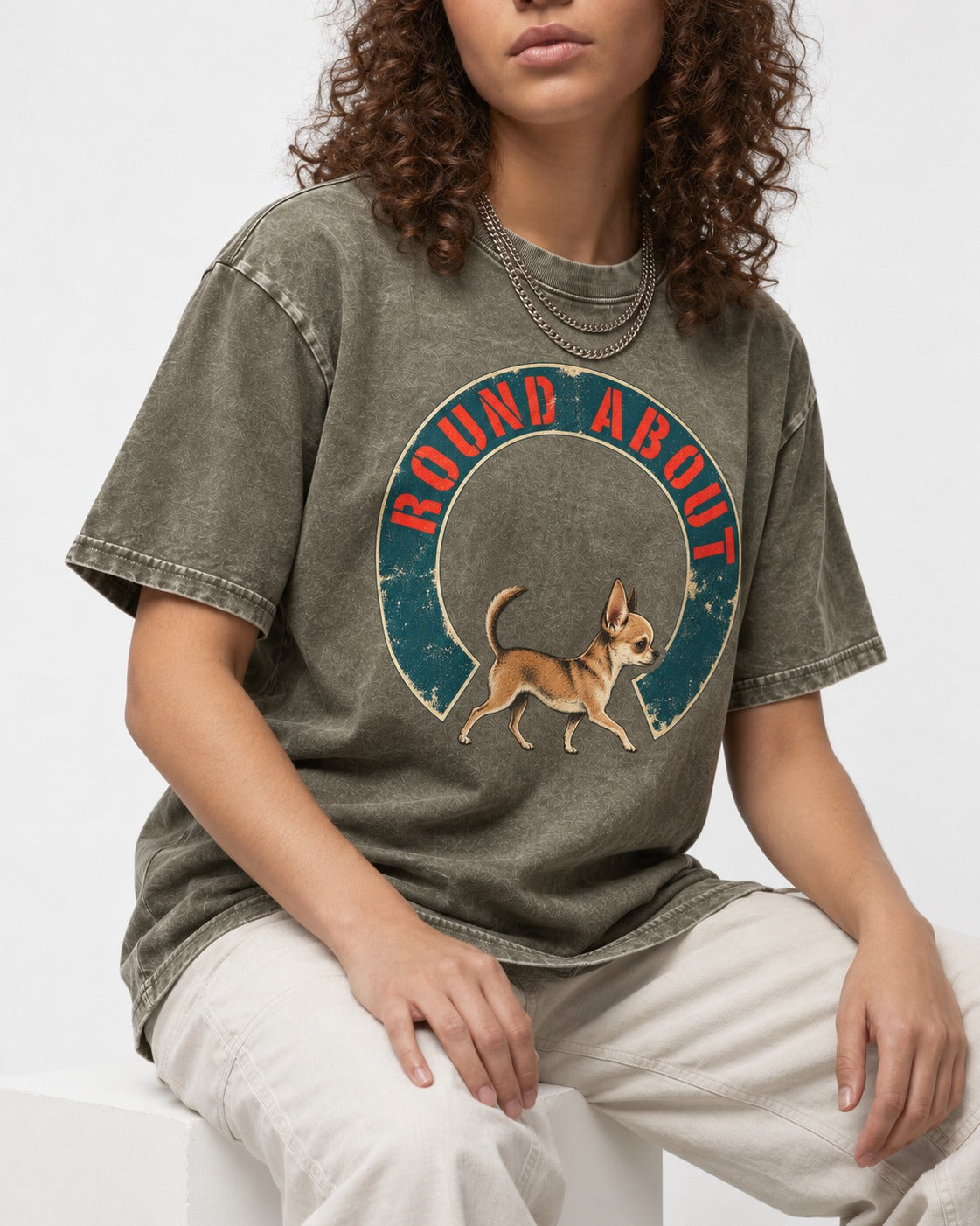 Round About Chihuahua Emblem Graphic Washed Tee in Army Green, worn by a seated model