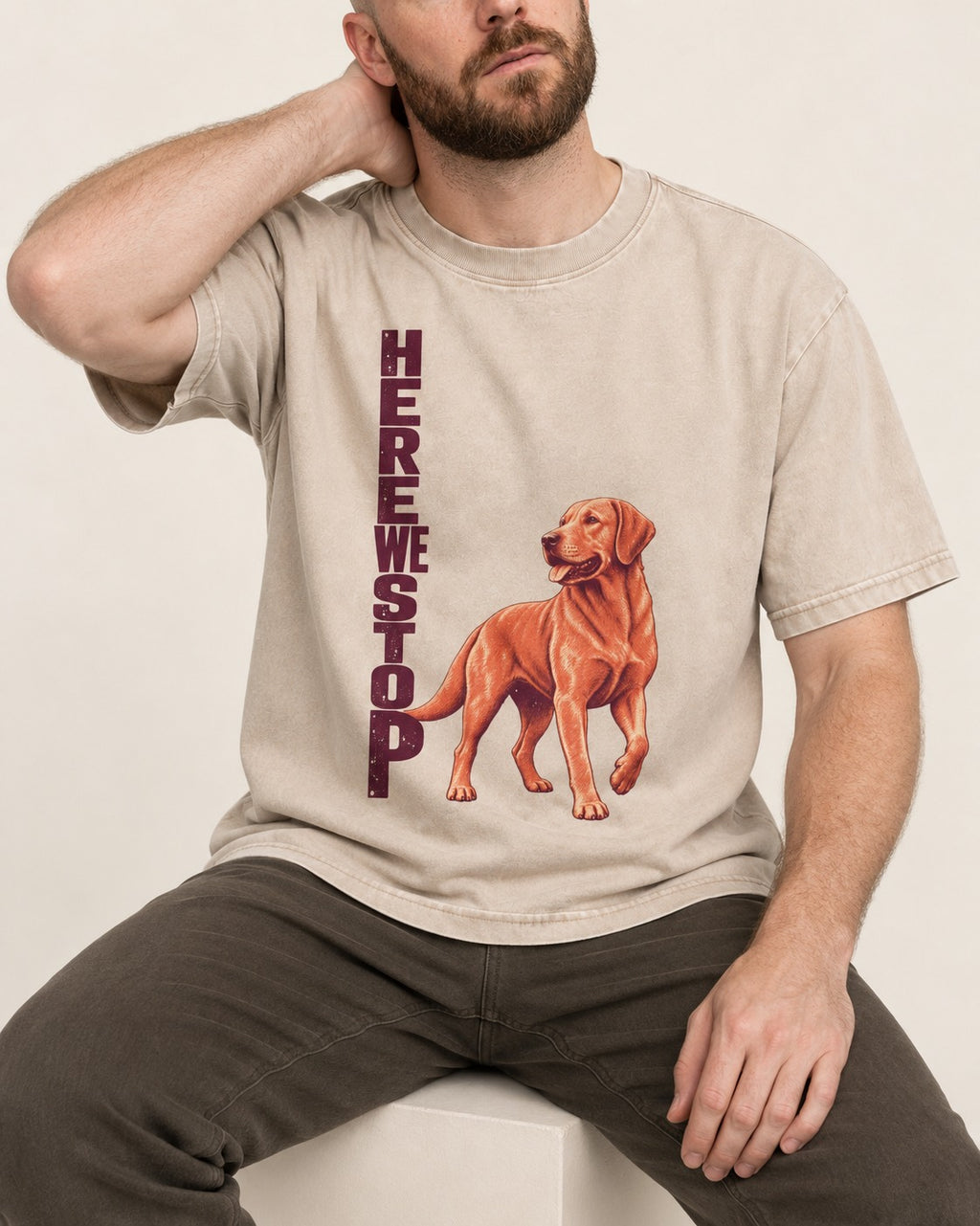 Here We Stop Labrador Retriever Washed Tee in Apricot, worn by a seated model