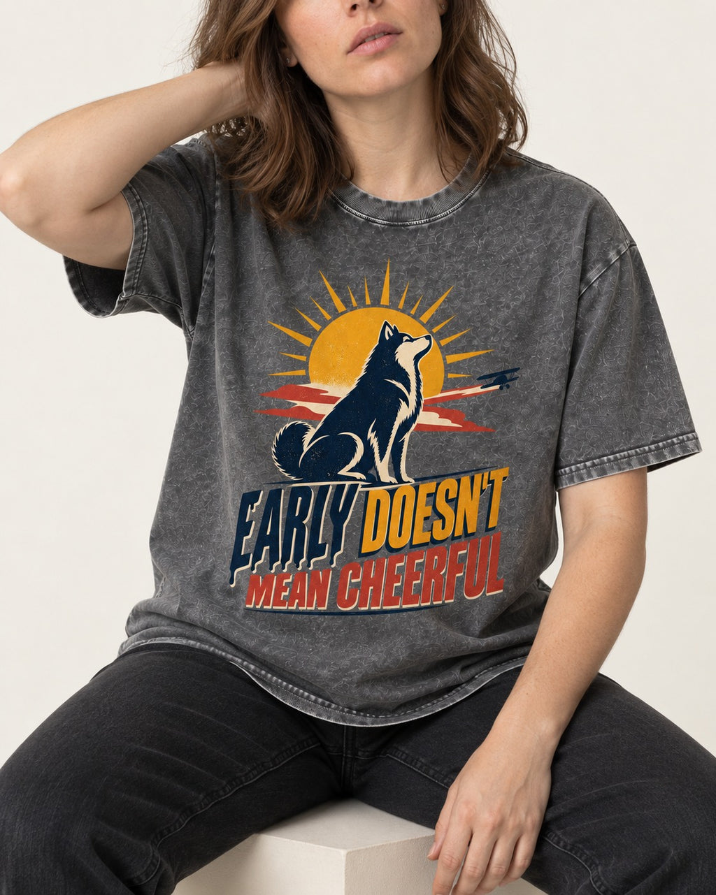 Husky Early Doesnt Mean Cheerful Sunrise Airplane Graphic Washed Tee in Gray, worn by a seated model