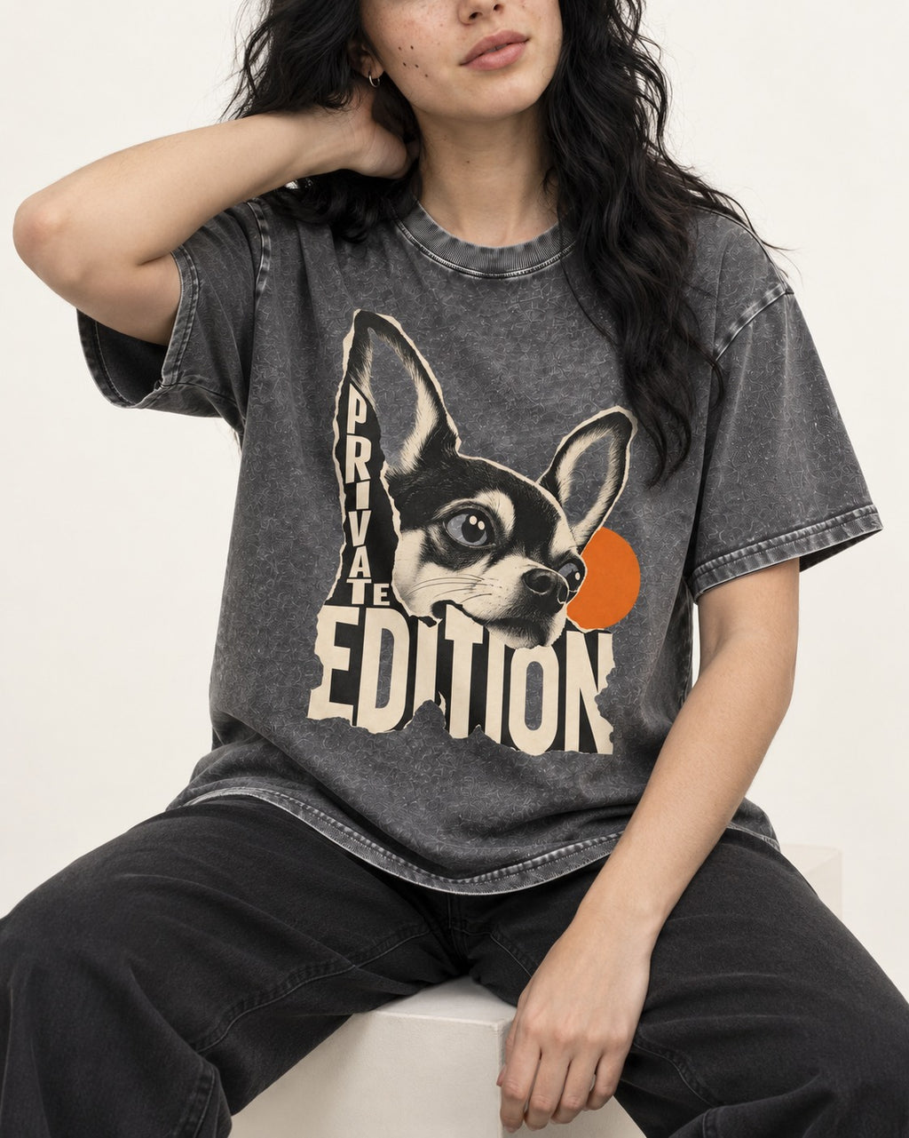 Chihuahua Private Edition Cut-Paper Portrait Washed Tee in Gray, worn by a seated model