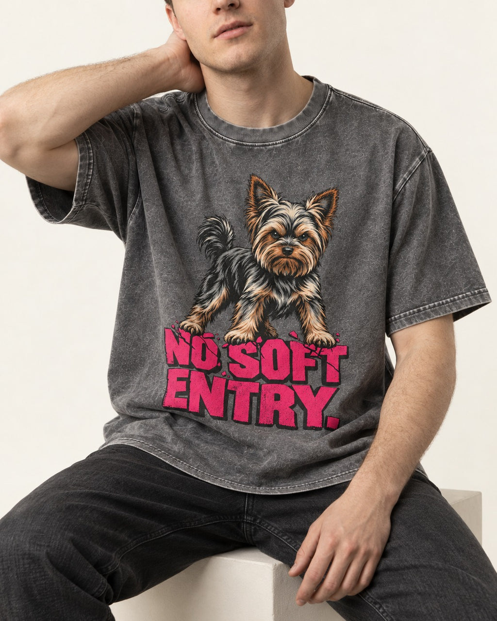 Yorkshire Terrier No Soft Entry Stance Graphic Washed Tee in Gray, worn by a seated model