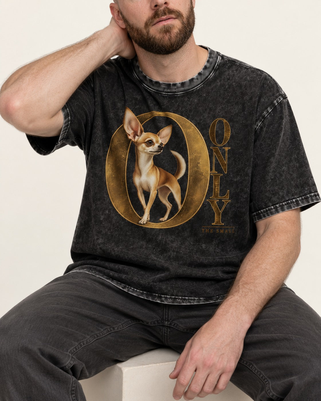 Chihuahua Only the Small Washed Tee in Black, worn by a seated model