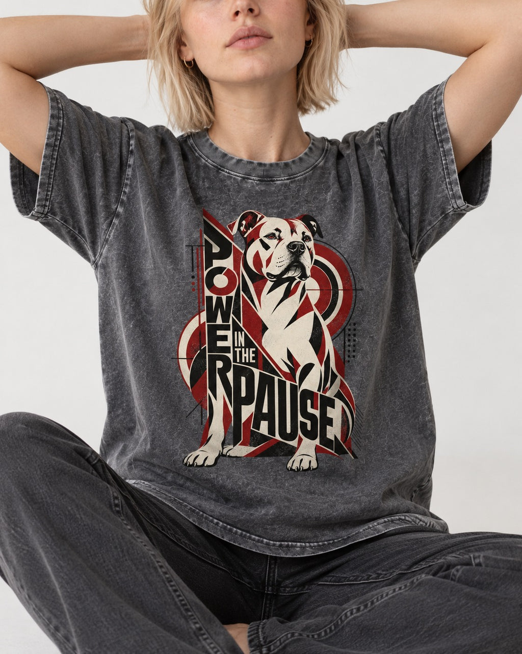 Pitbull Power in the Pause Geometric Graphic Washed Tee in Gray, worn by a seated model
