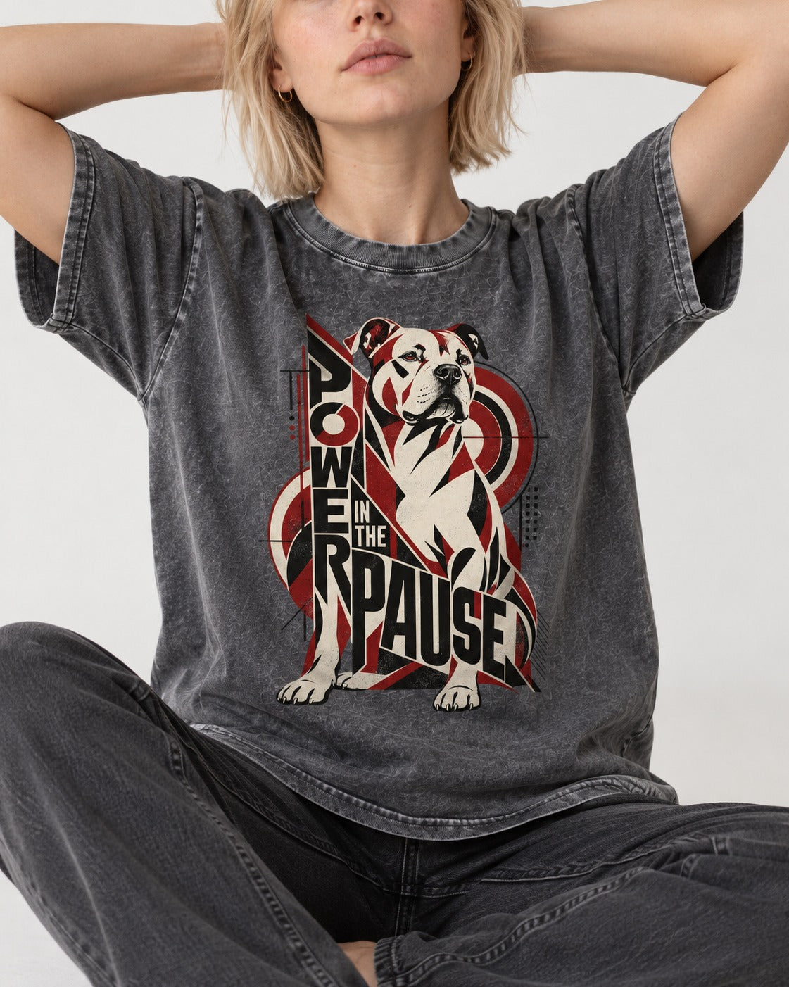 Pitbull Power in the Pause Geometric Graphic Washed Tee in Gray, worn by a seated model
