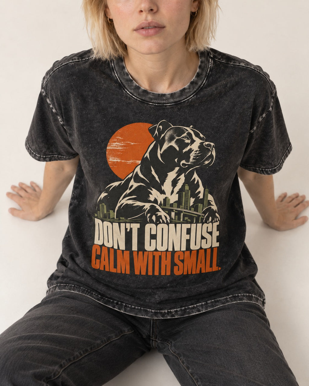 Pitbull Don't Confuse Calm with Small City Guardian Graphic Washed Tee in Black, worn by a seated model