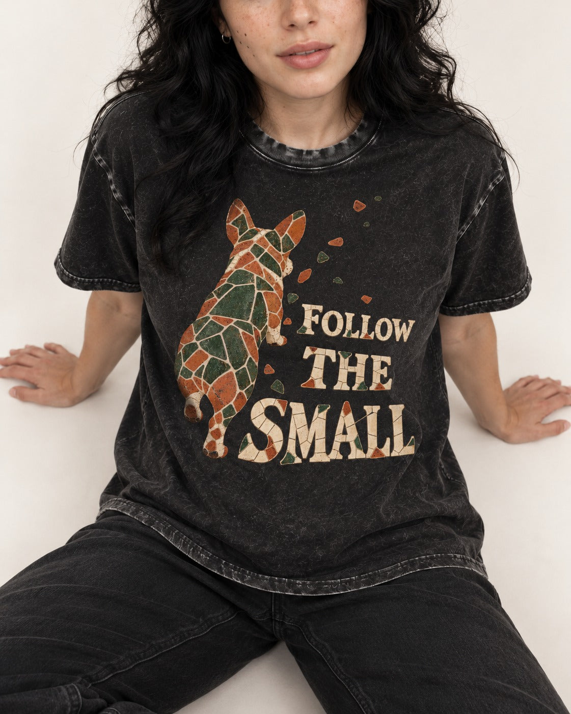 Corgi Follow the Small Mosaic Washed Tee in Black, worn by a seated model