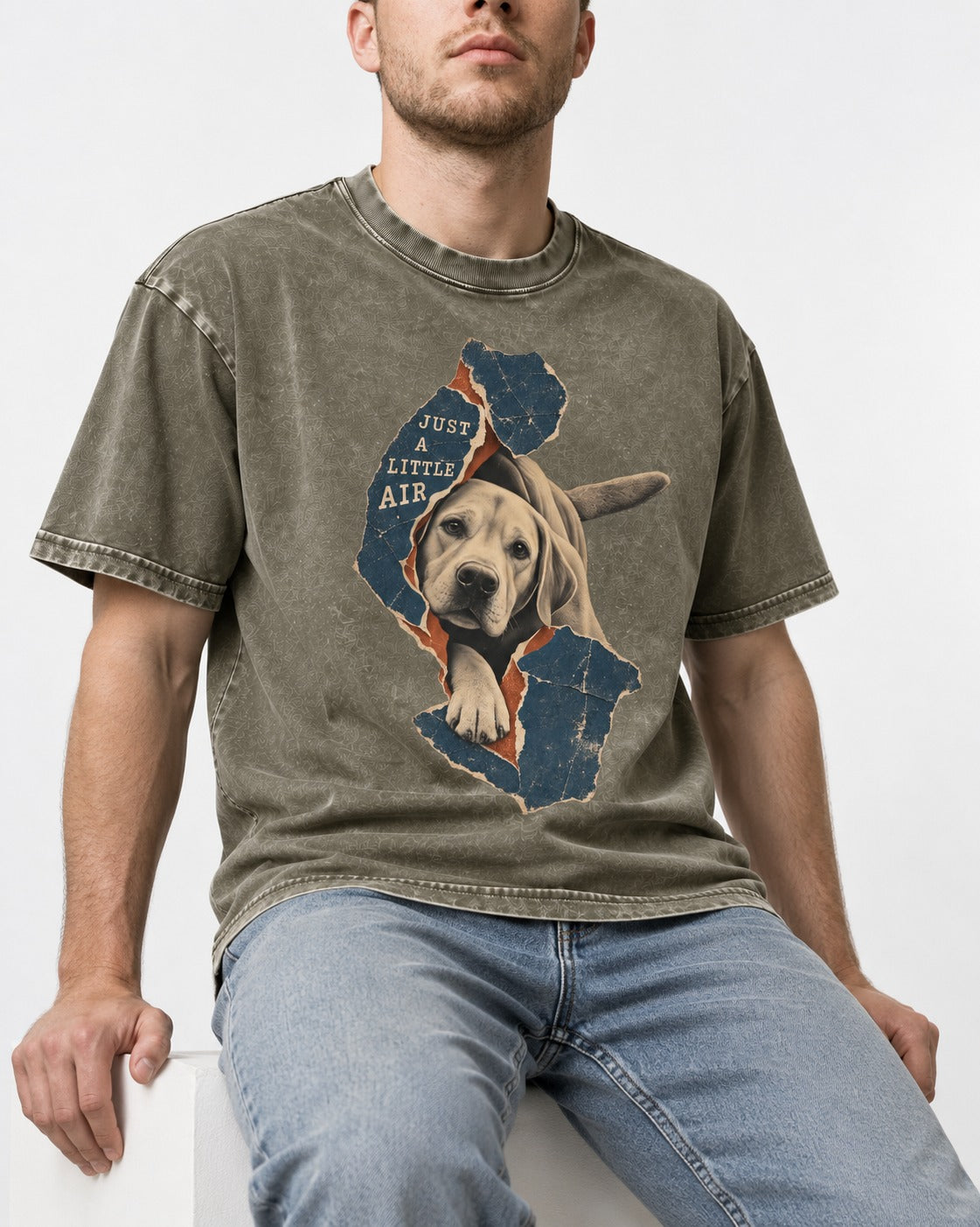 Labrador Retriever Just a Little Air Torn Paper Graphic Washed Tee in Army Green, worn by a seated model