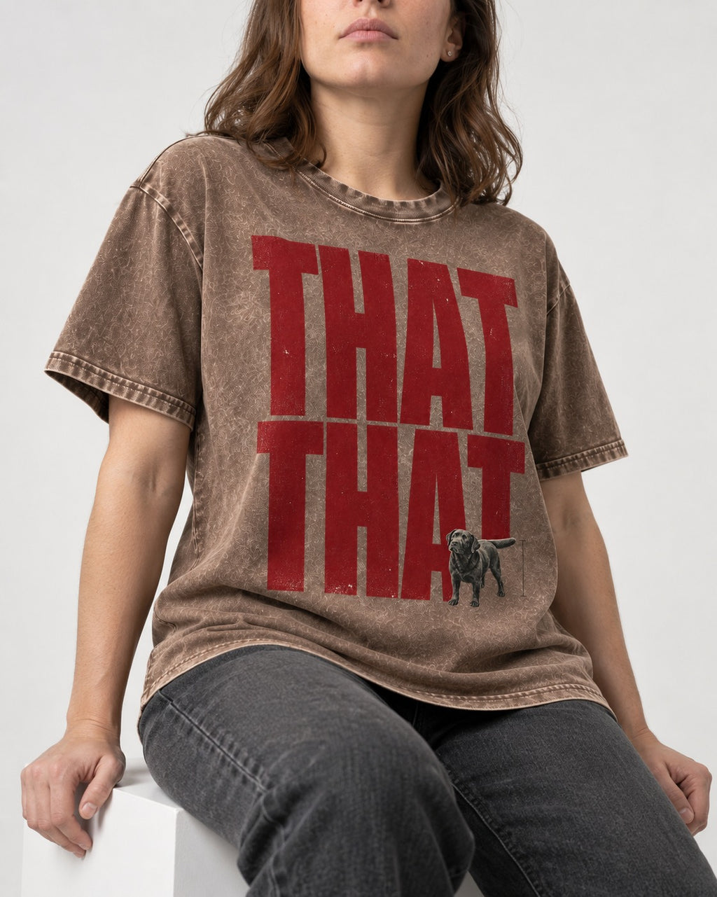 That That Labrador Retriever Washed Tee in Coffee, worn by a seated model