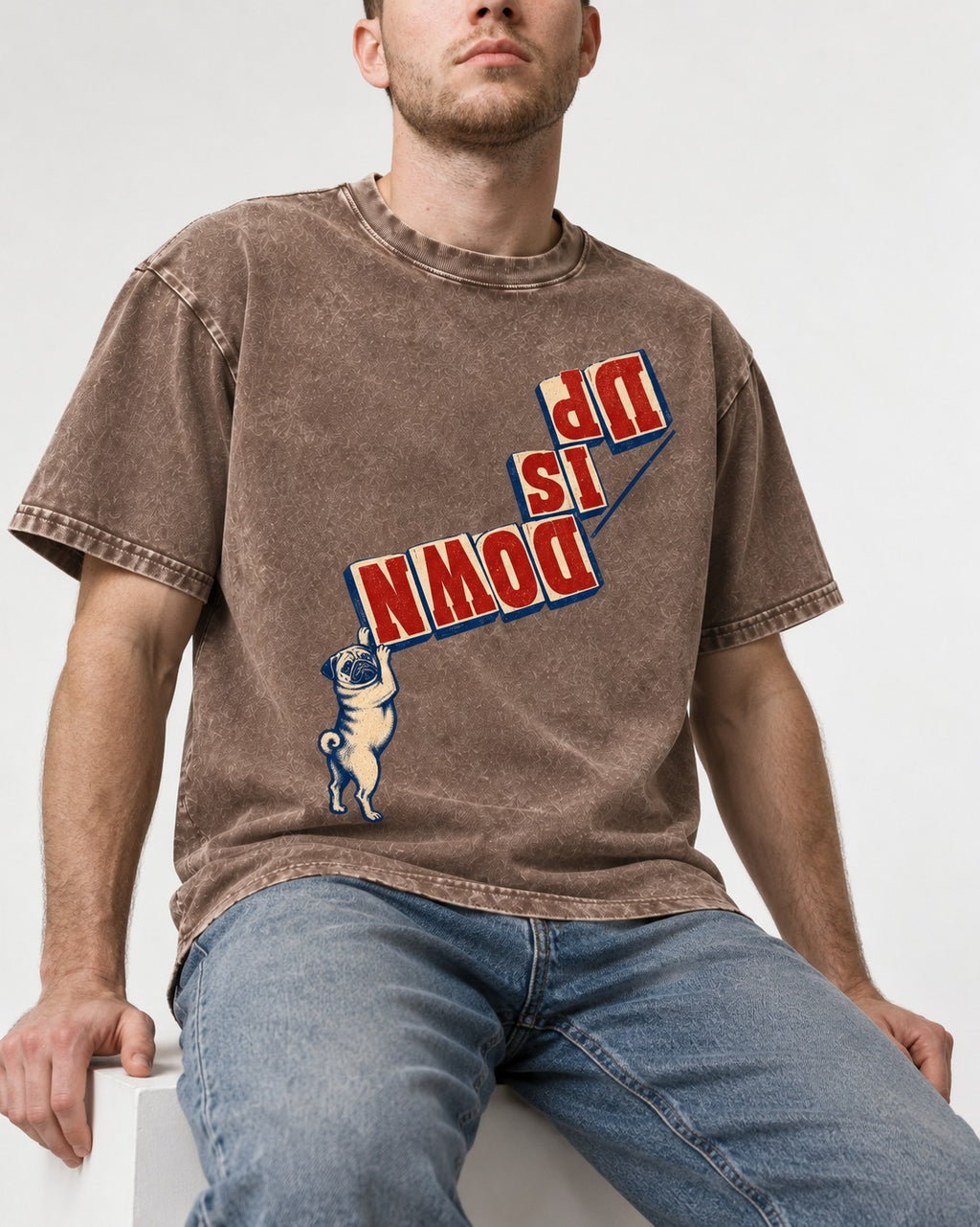 Down Is Up Pug Washed Tee in Coffee, worn by a seated model