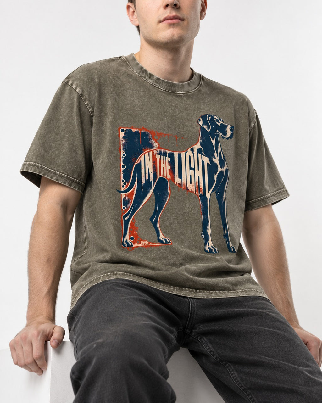 Great Dane In the Light Industrial Frame Graphic Washed Tee in Army Green, worn by a seated model
