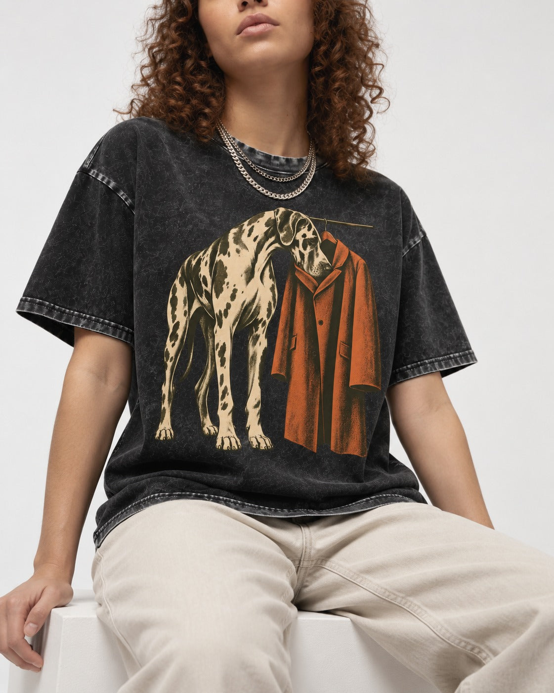 Great Dane Harlequin Coat Rack Overcoat Graphic Washed Tee in Black, worn by a seated model