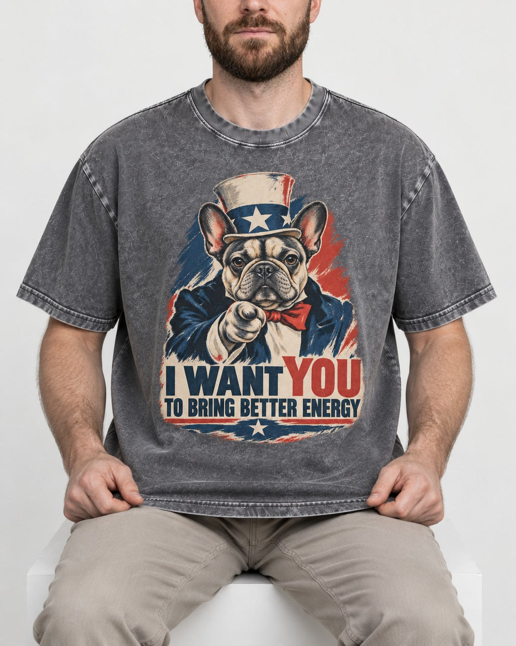Frenchie I Want You to Bring Better Energy Recruitment Poster Graphic Washed Tee in Gray, worn by a seated model