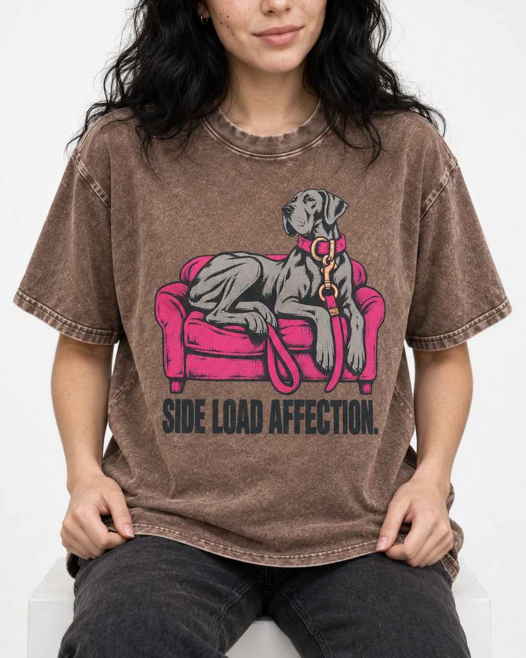 Great Dane Side Load Affection Washed Tee in Coffee, worn by a seated model