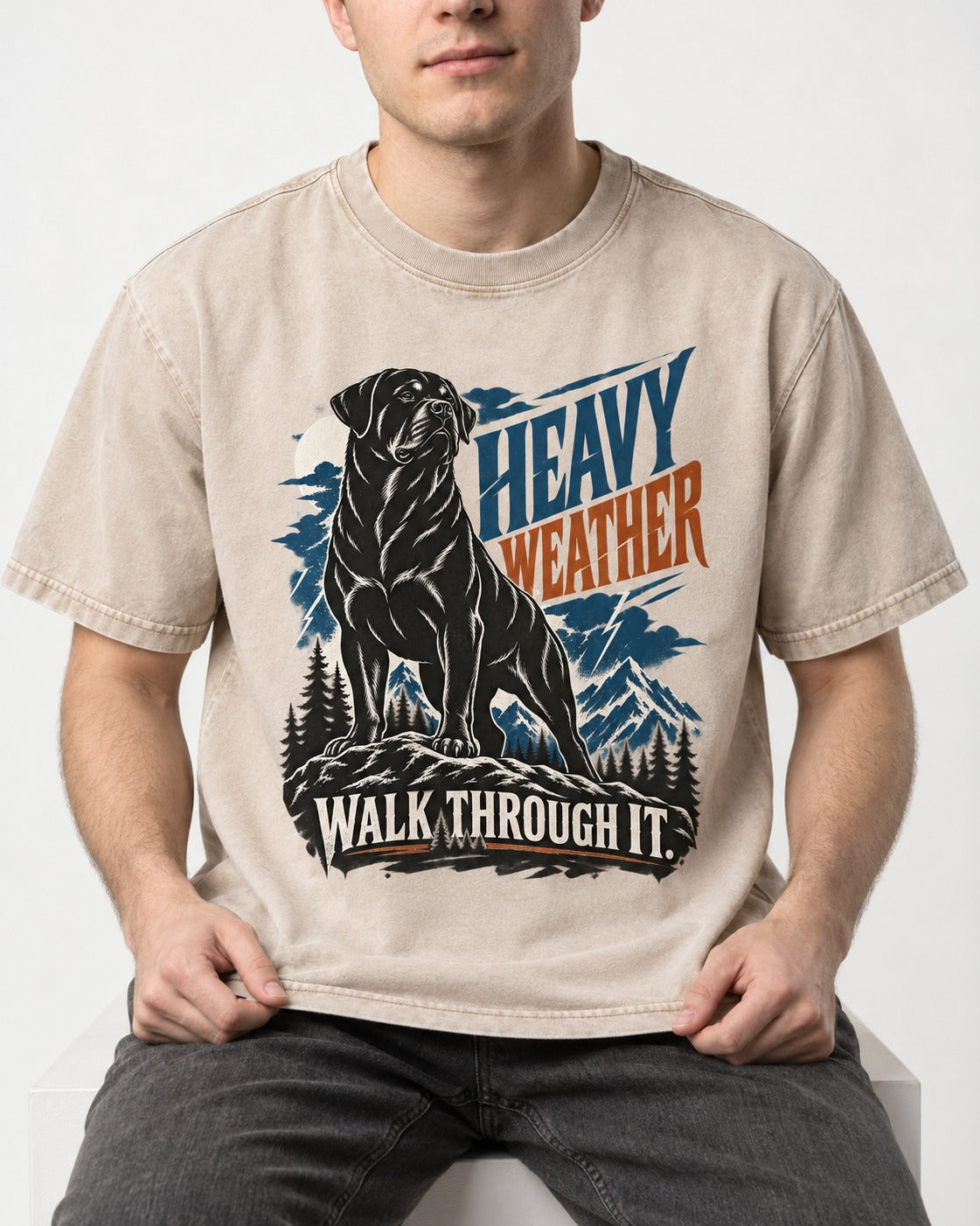 Heavy Weather Rottweiler Washed Tee in Apricot, worn by a seated model