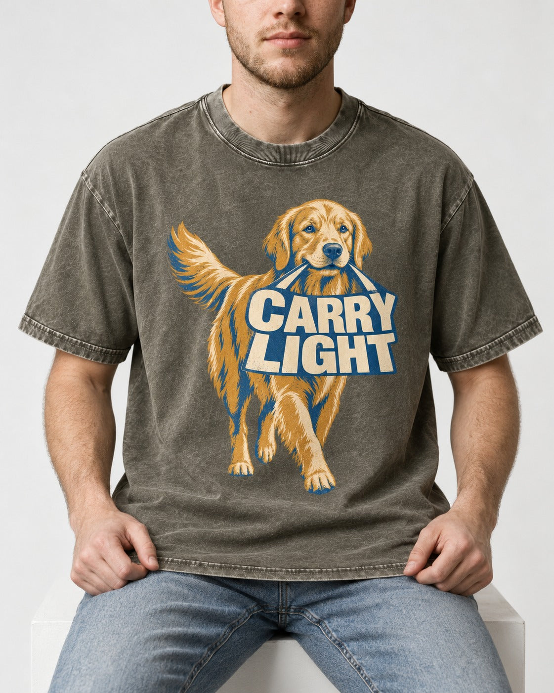Golden Retriever Carry Light Sign Graphic Washed Tee in Army Green, worn by a seated model