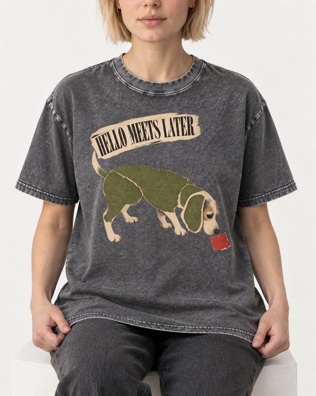 Twenty Minutes Later Beagle Washed Tee in Gray, worn by a seated model