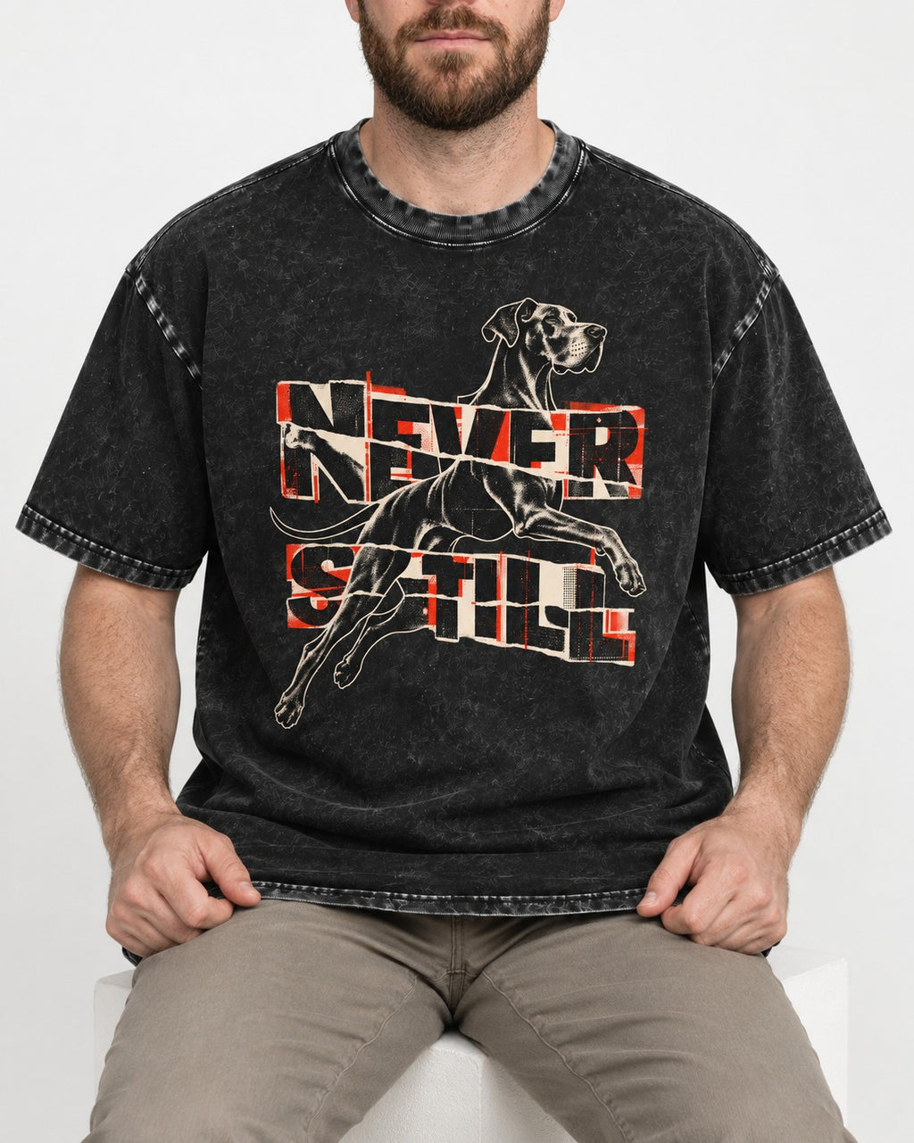 Great Dane Never Still Leaping Collage Graphic Washed Tee in Black, worn by a seated model