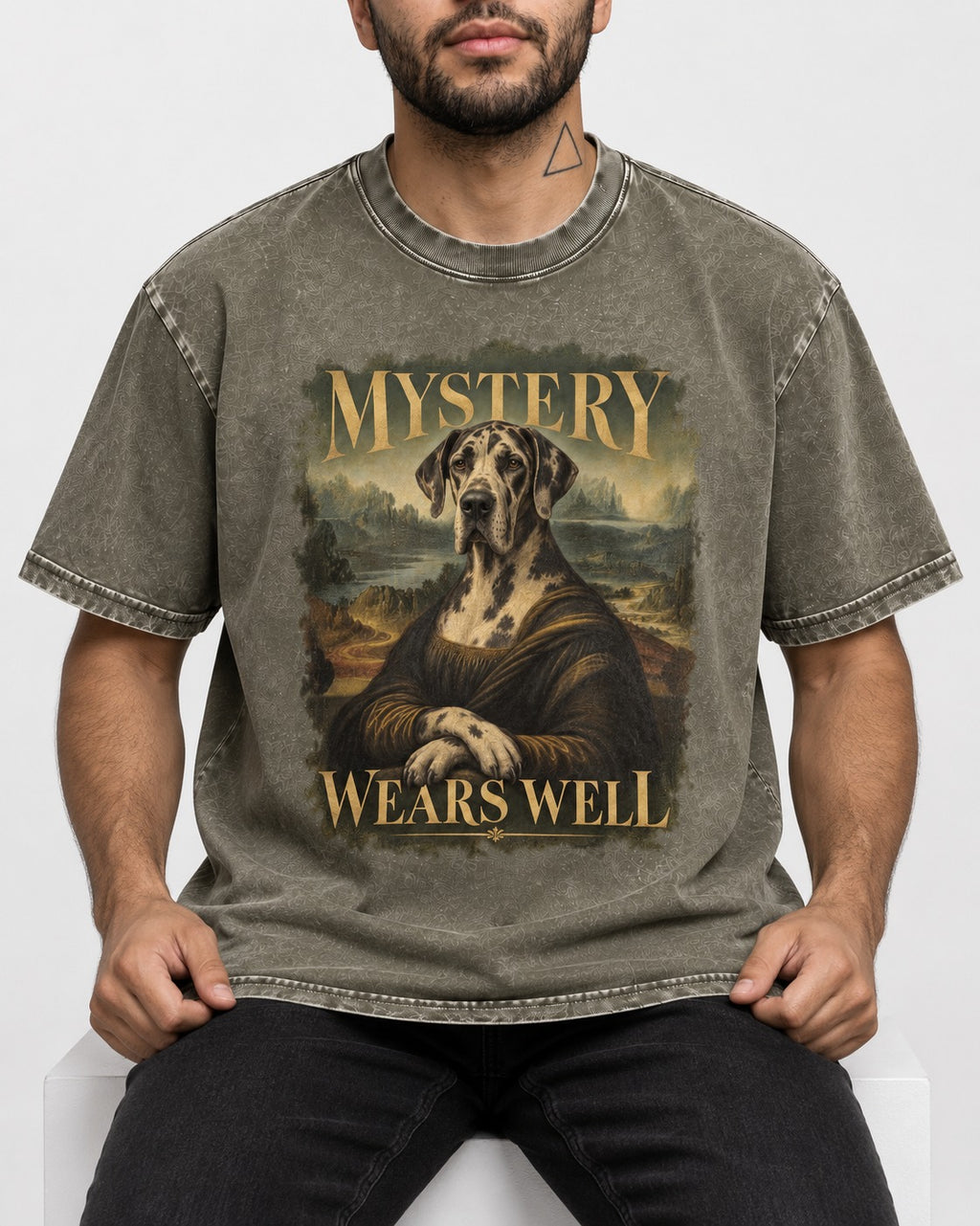 Great Dane Mystery Wears Well Renaissance Portrait Graphic Washed Tee in Army Green, worn by a seated model