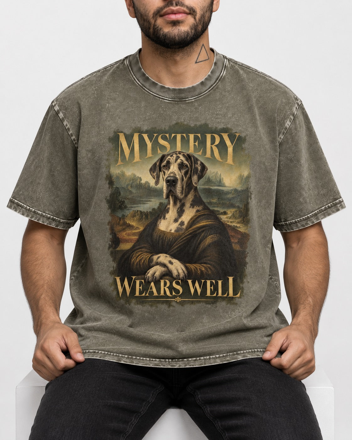 Great Dane Mystery Wears Well Renaissance Portrait Graphic Washed Tee in Army Green, worn by a seated model