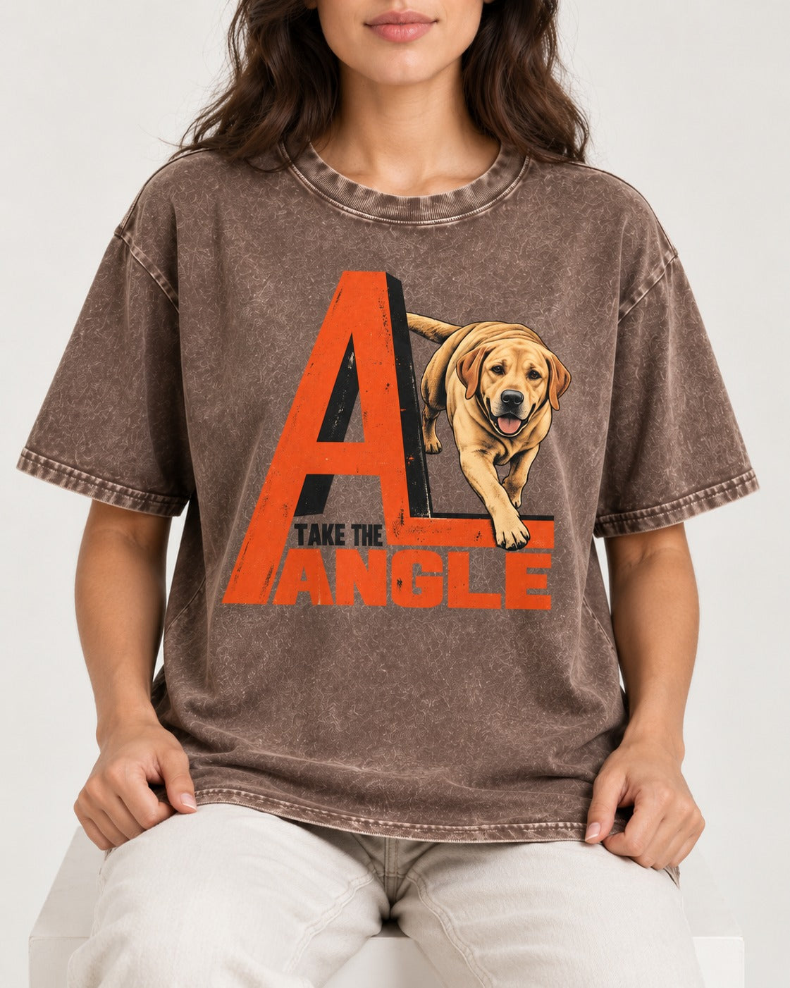 Take the Angle Labrador Retriever Washed Tee in Coffee, worn by a seated model