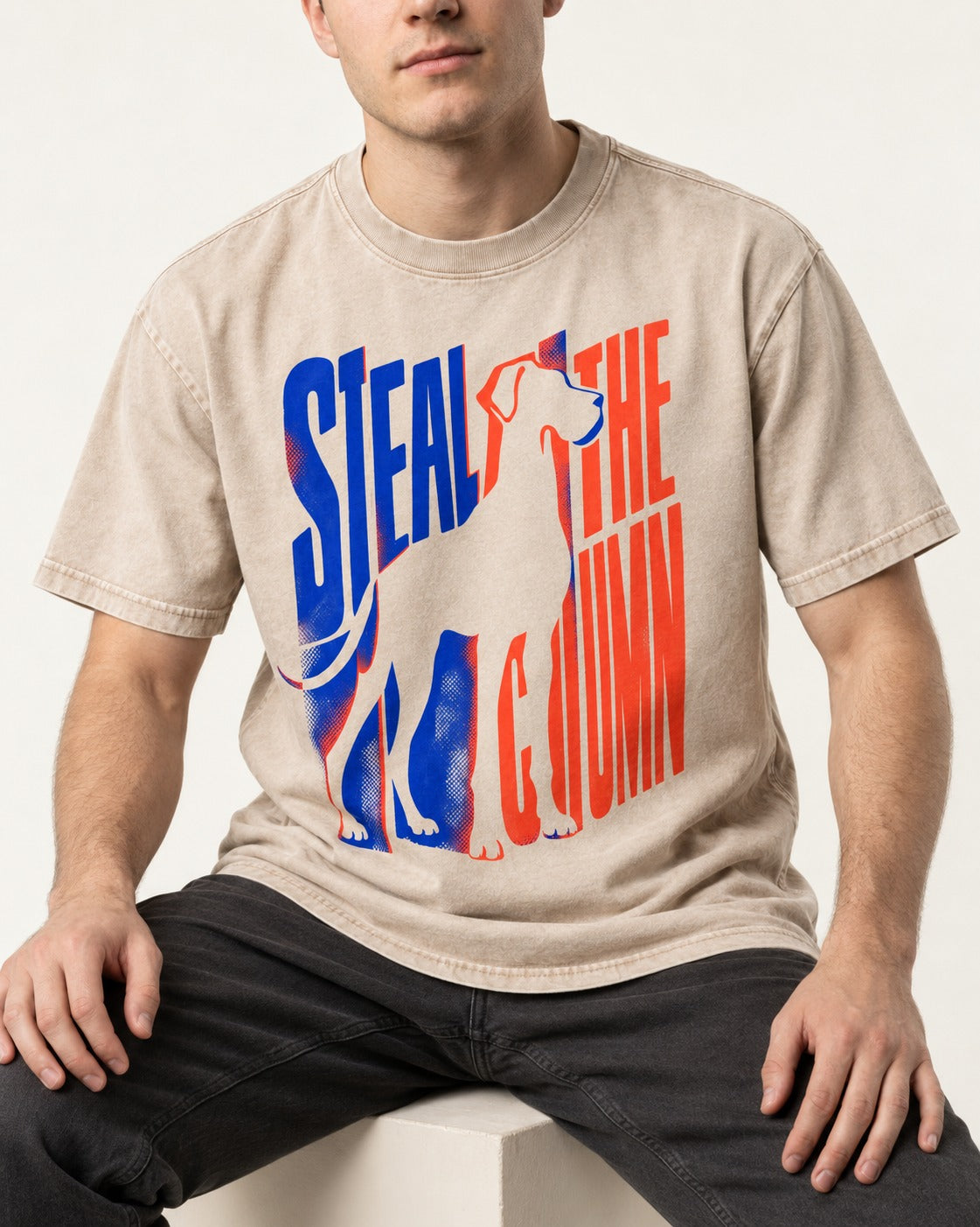 Steal the Show Great Dane Washed Tee in Apricot, worn by a seated model