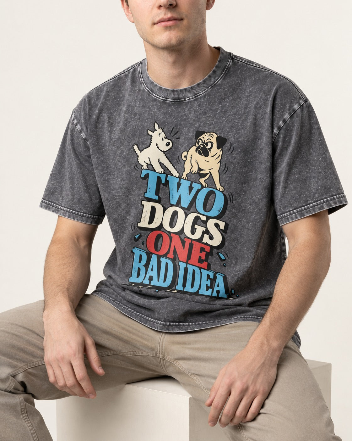 Pug Two Dogs One Bad Idea Graphic Washed Tee in Gray, worn by a seated model