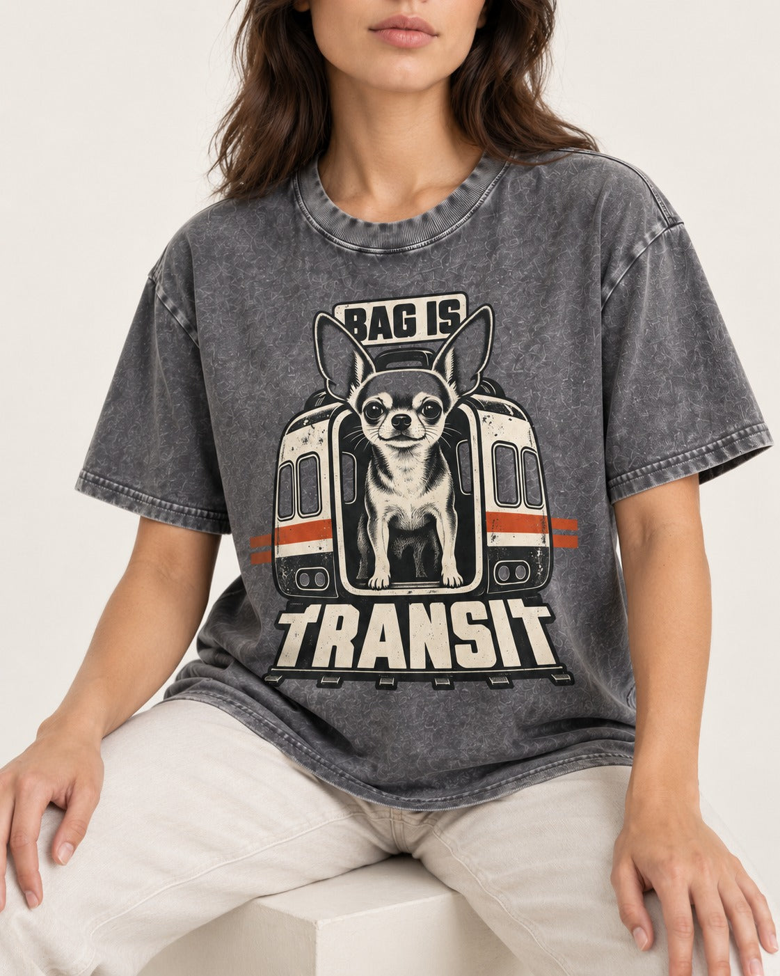 Chihuahua Bag Is Transit Train Front Graphic Washed Tee in Gray, worn by a seated model