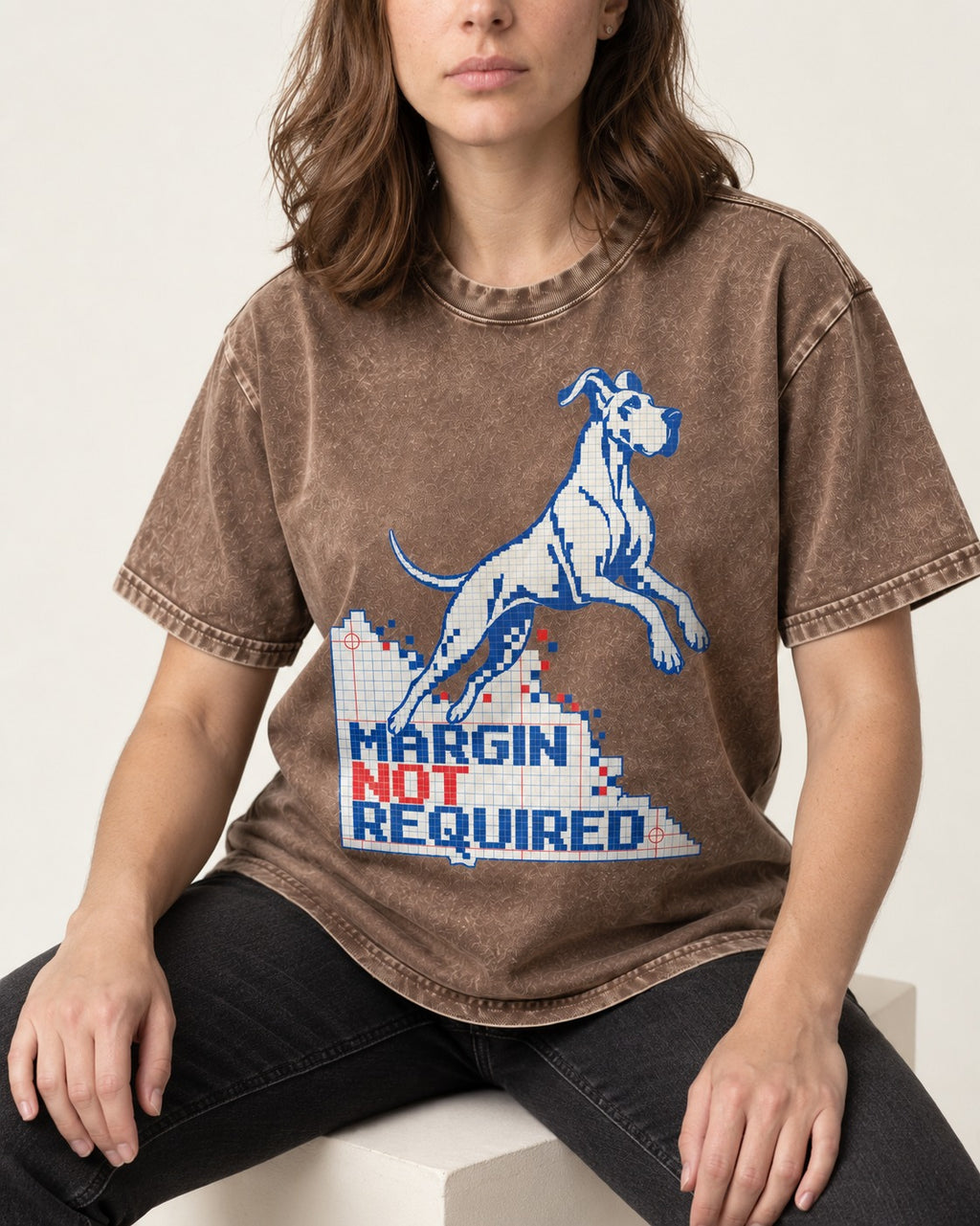 Great Dane Margin Not Required Washed Tee in Coffee, worn by a seated model