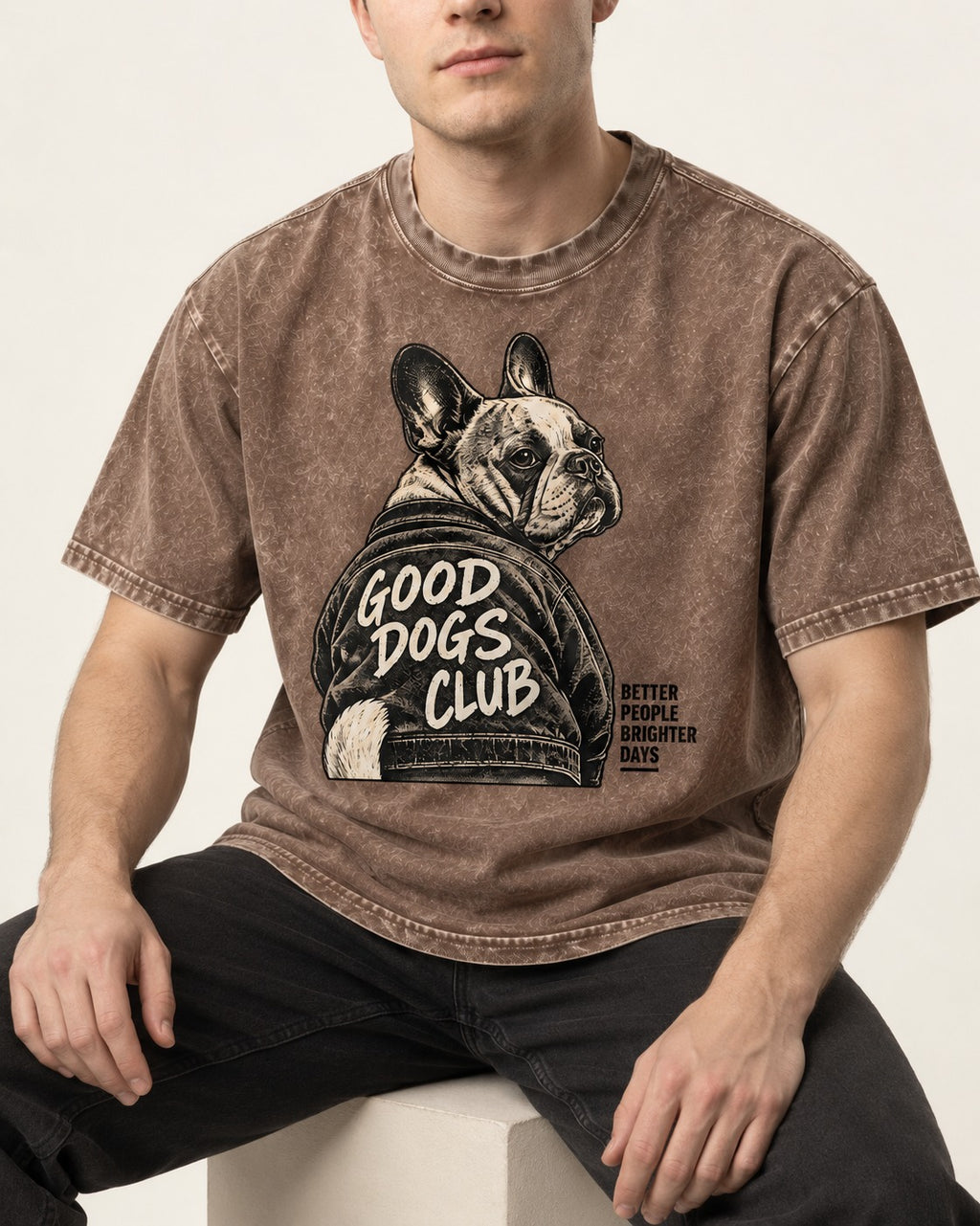 Good Frenchie Club Washed Tee in Coffee, worn by a seated model