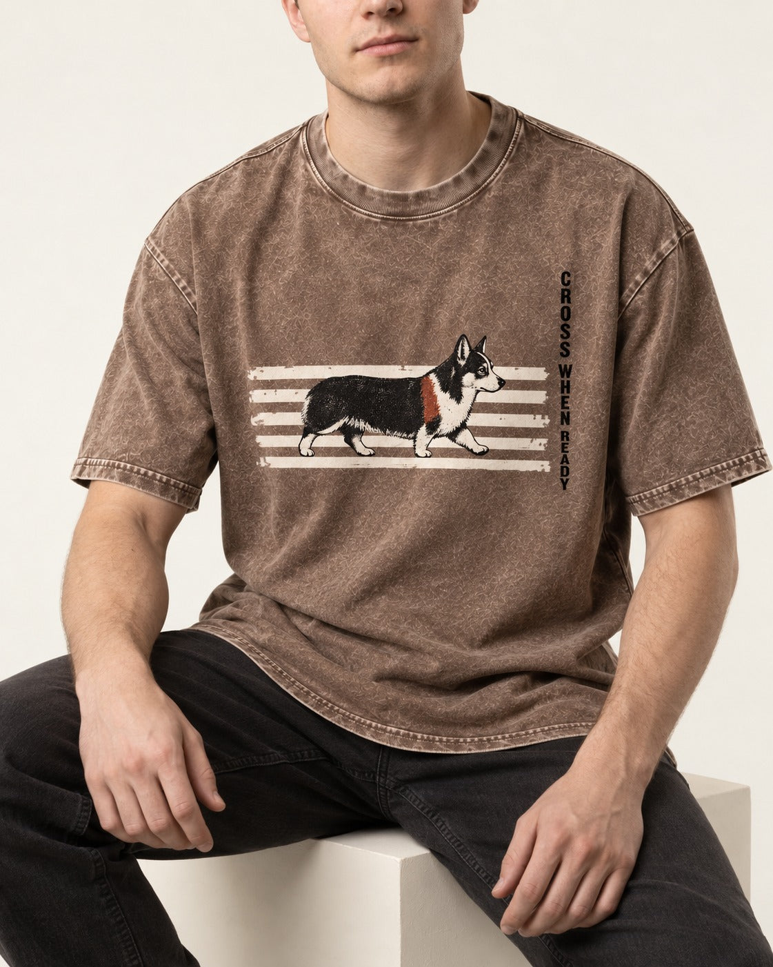 Corgi Cross When Ready Crossing Bars Graphic Washed Tee in Coffee, worn by a seated model