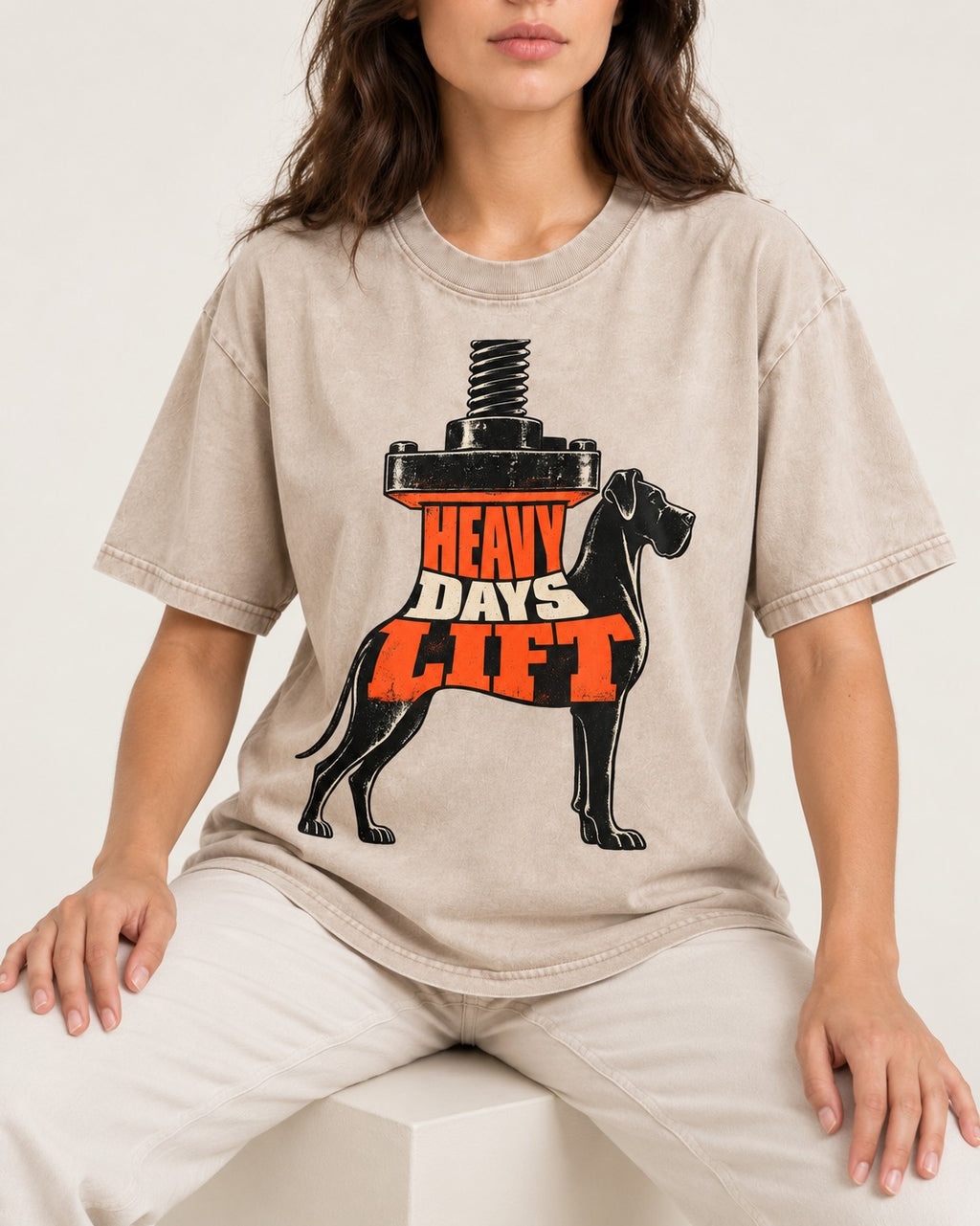 Great Dane Heavy Days Lift Washed Tee in Apricot, worn by a seated model
