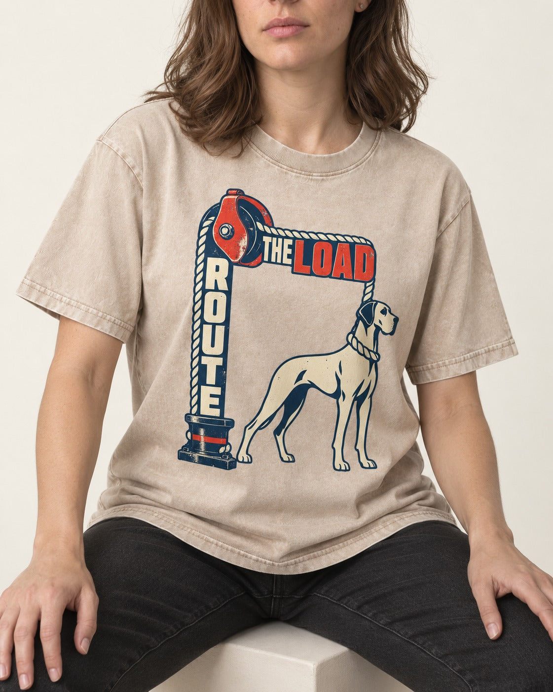 Great Dane Route the Load Washed Tee in Apricot, worn by a seated model