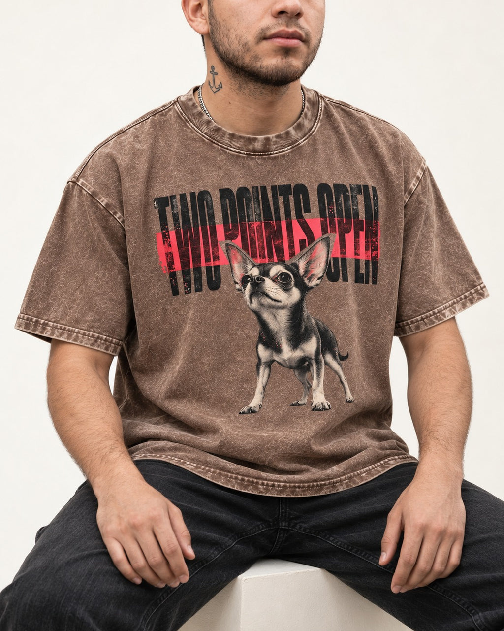 Two Points Open Chihuahua Washed Tee in Coffee, worn by a seated model