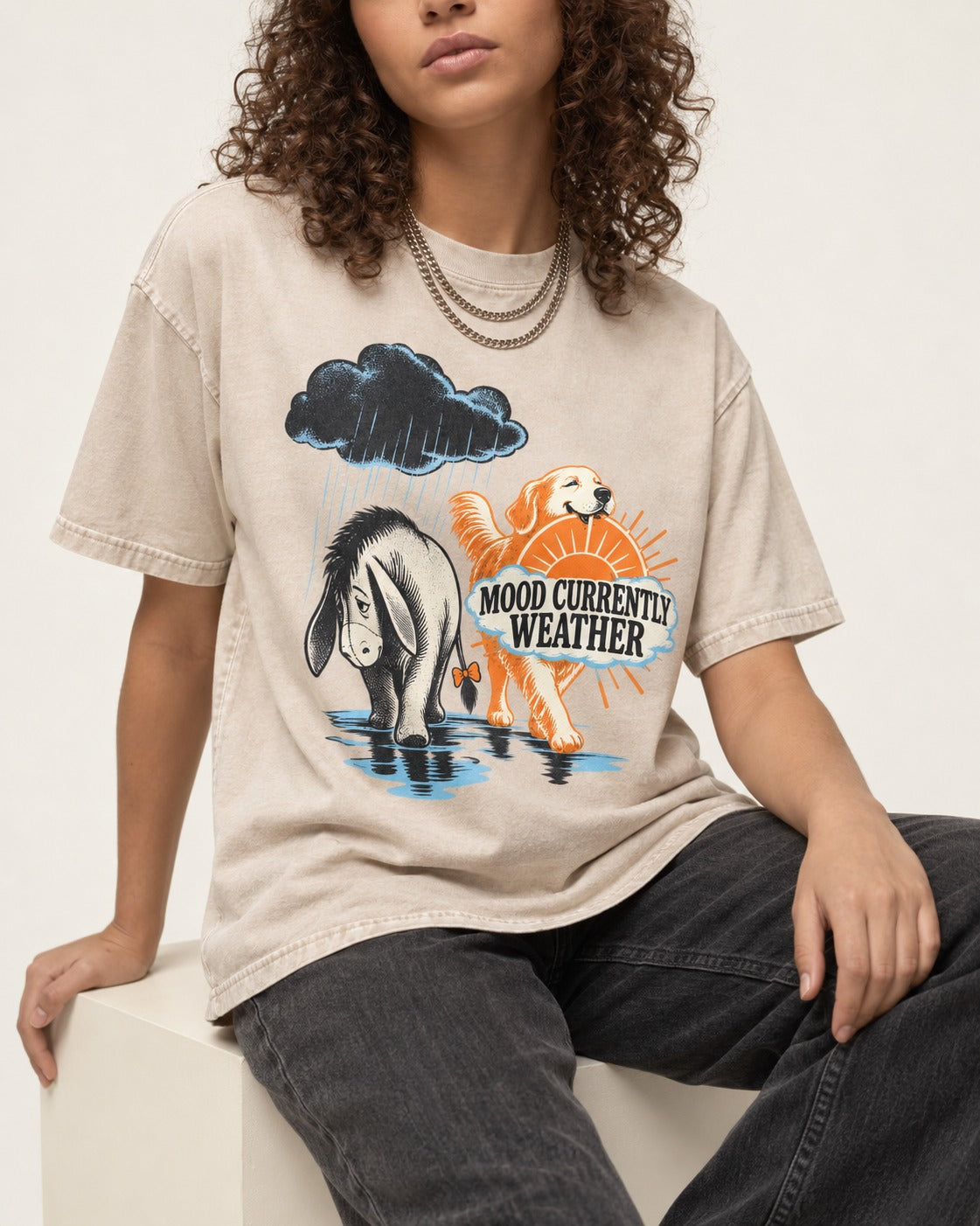 Mood Currently Golden Retriever Weather Washed Tee in Apricot, worn by a seated model