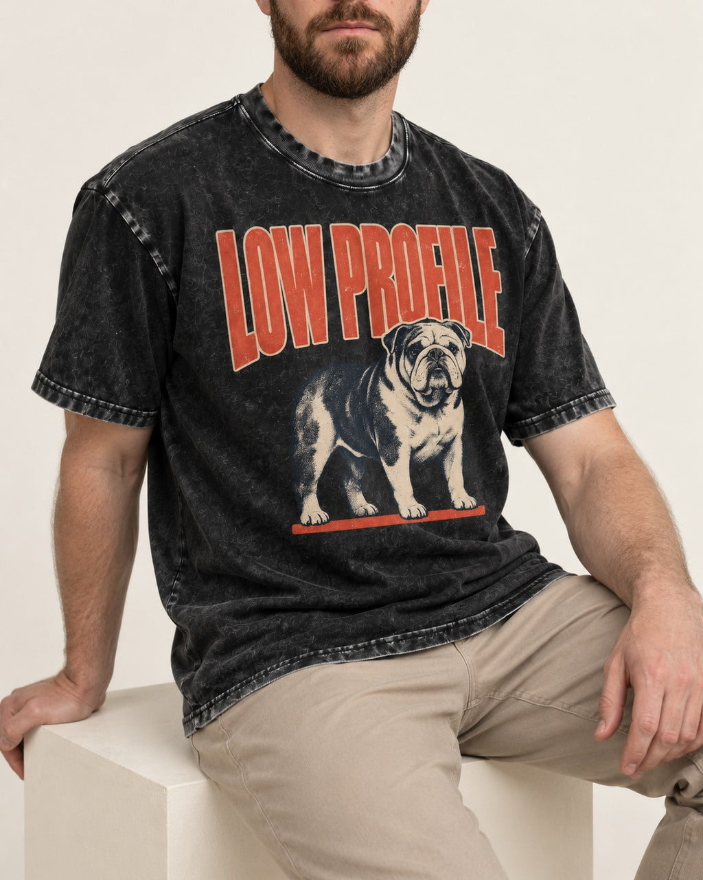 English Bulldog Low Profile Standing Graphic Washed Tee in Black, worn by a seated model