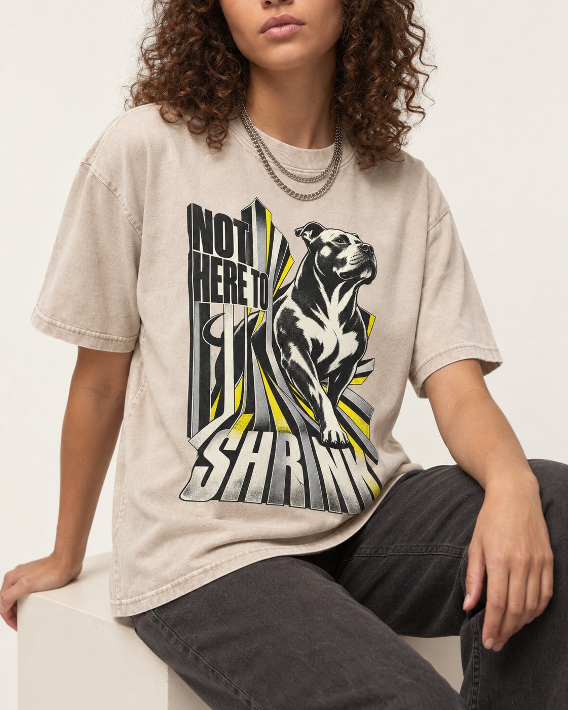 Not Here to Share Pitbull Washed Tee in Apricot, worn by a seated model