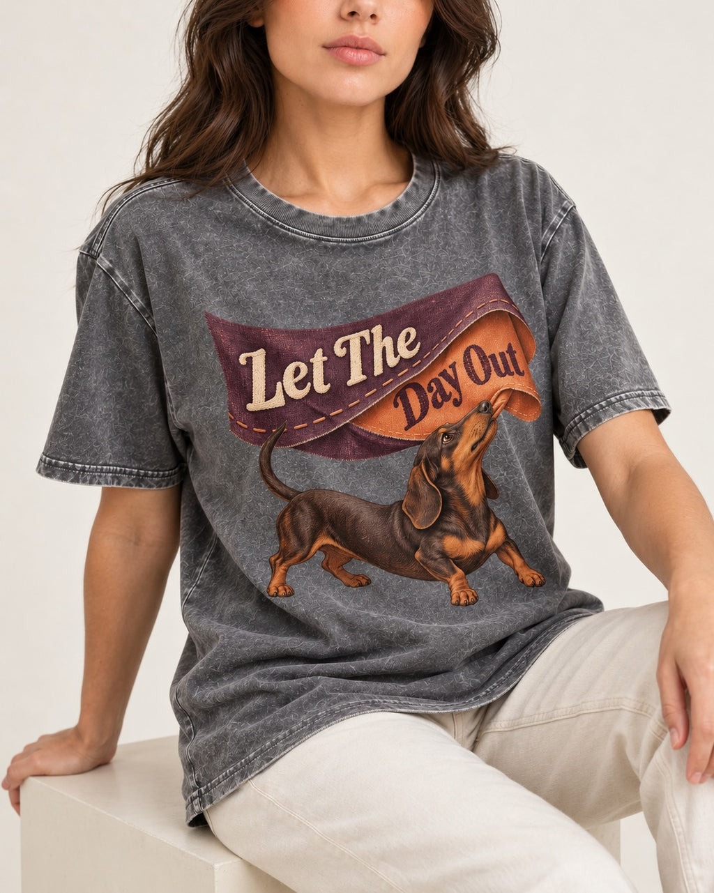 Dachshund Let The Day Out Fabric Banner Graphic Washed Tee in Gray, worn by a seated model