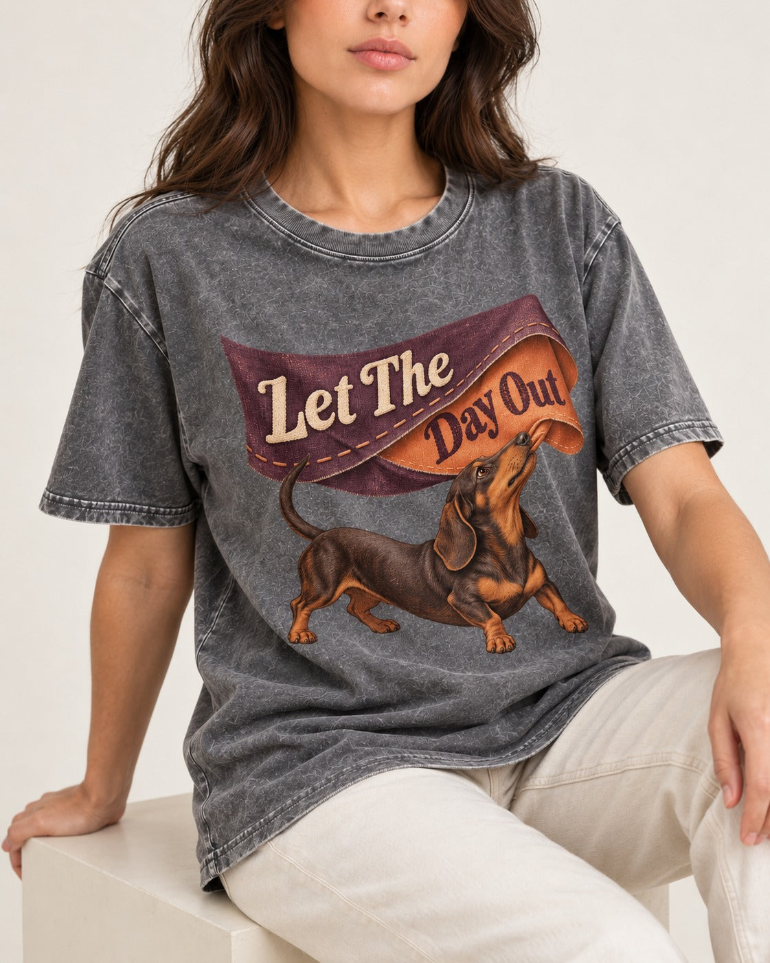 Dachshund Let The Day Out Fabric Banner Graphic Washed Tee in Gray, worn by a seated model